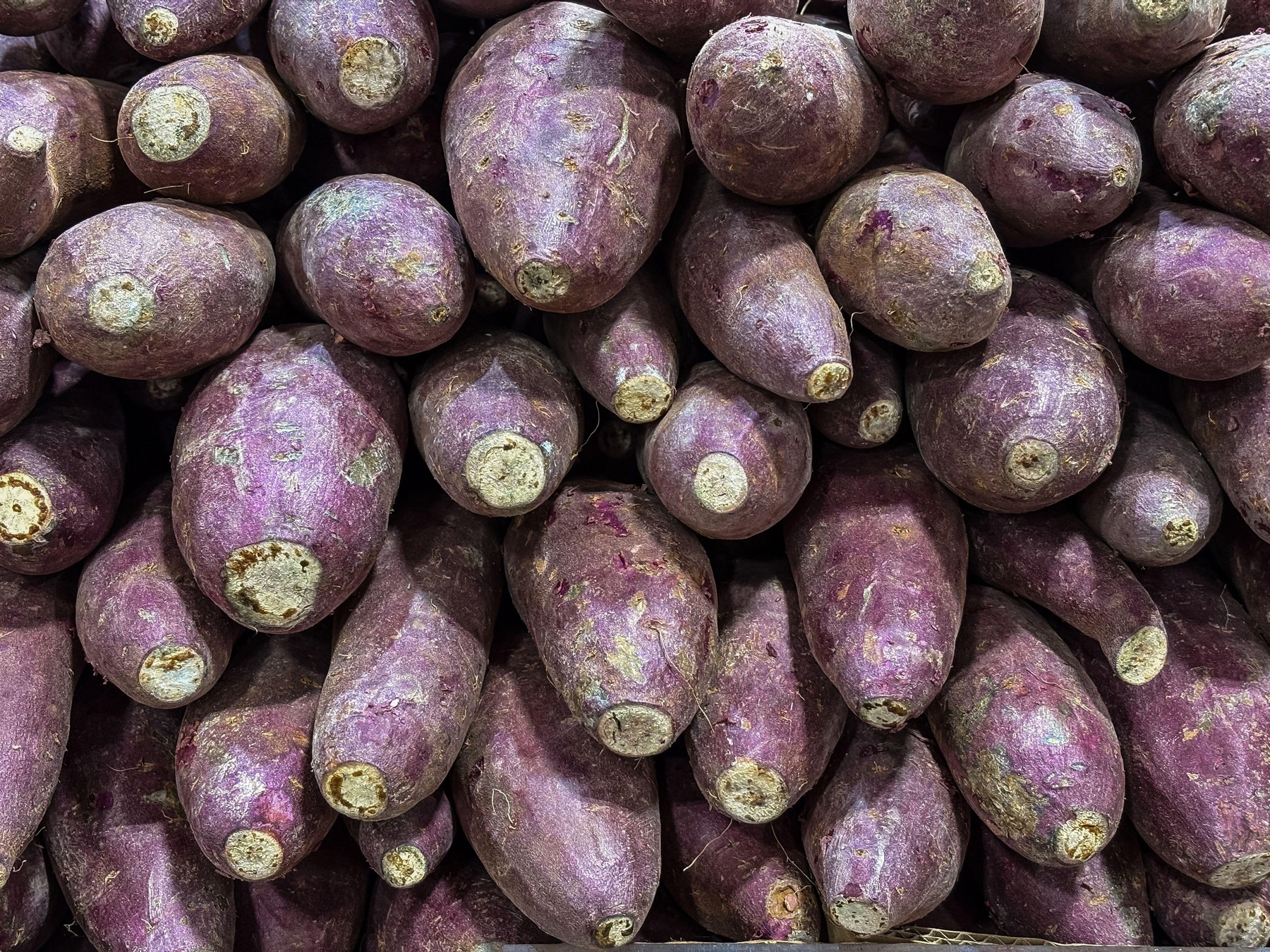 Vijolični jam, ube