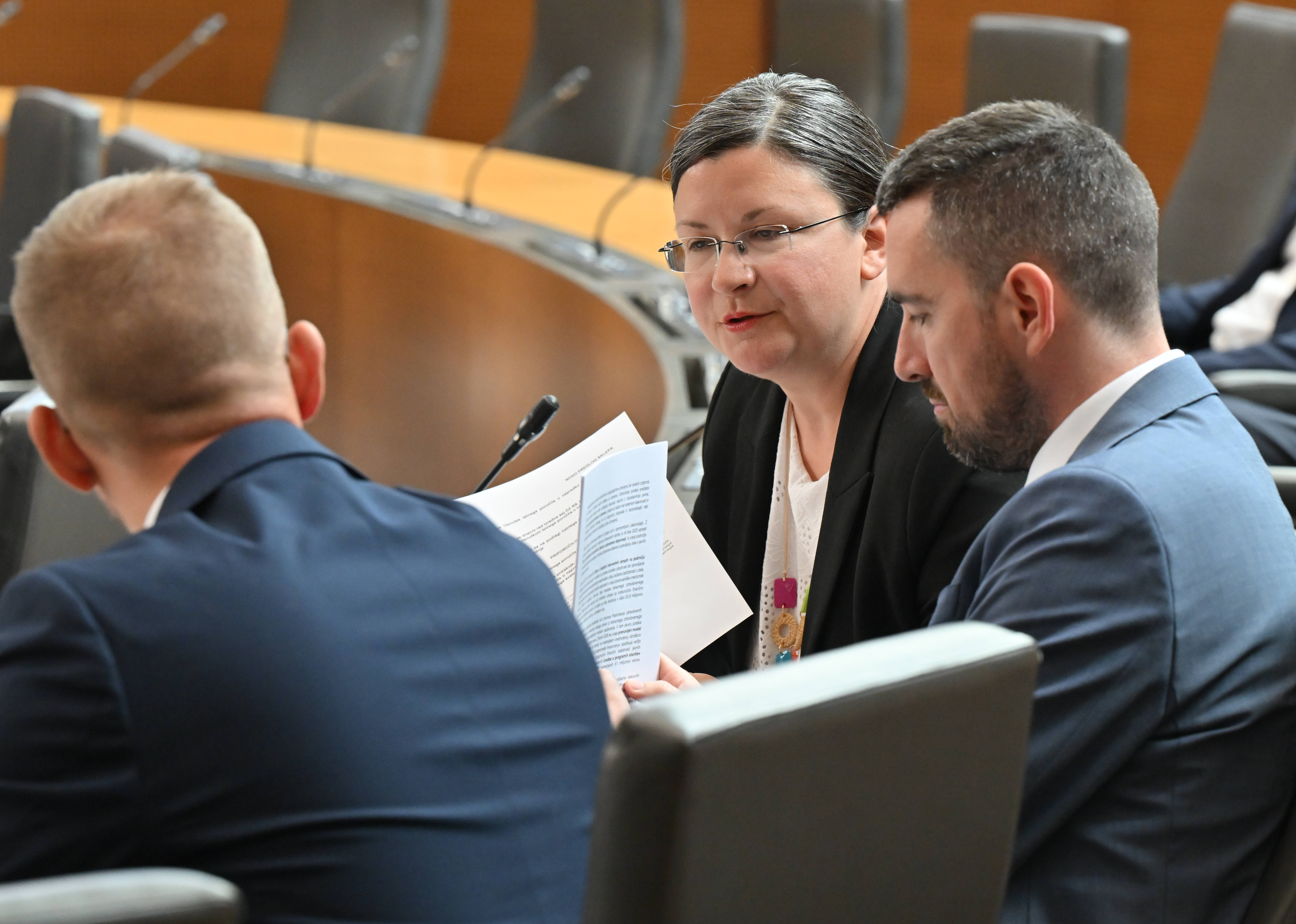Poslanska skupina Resnica