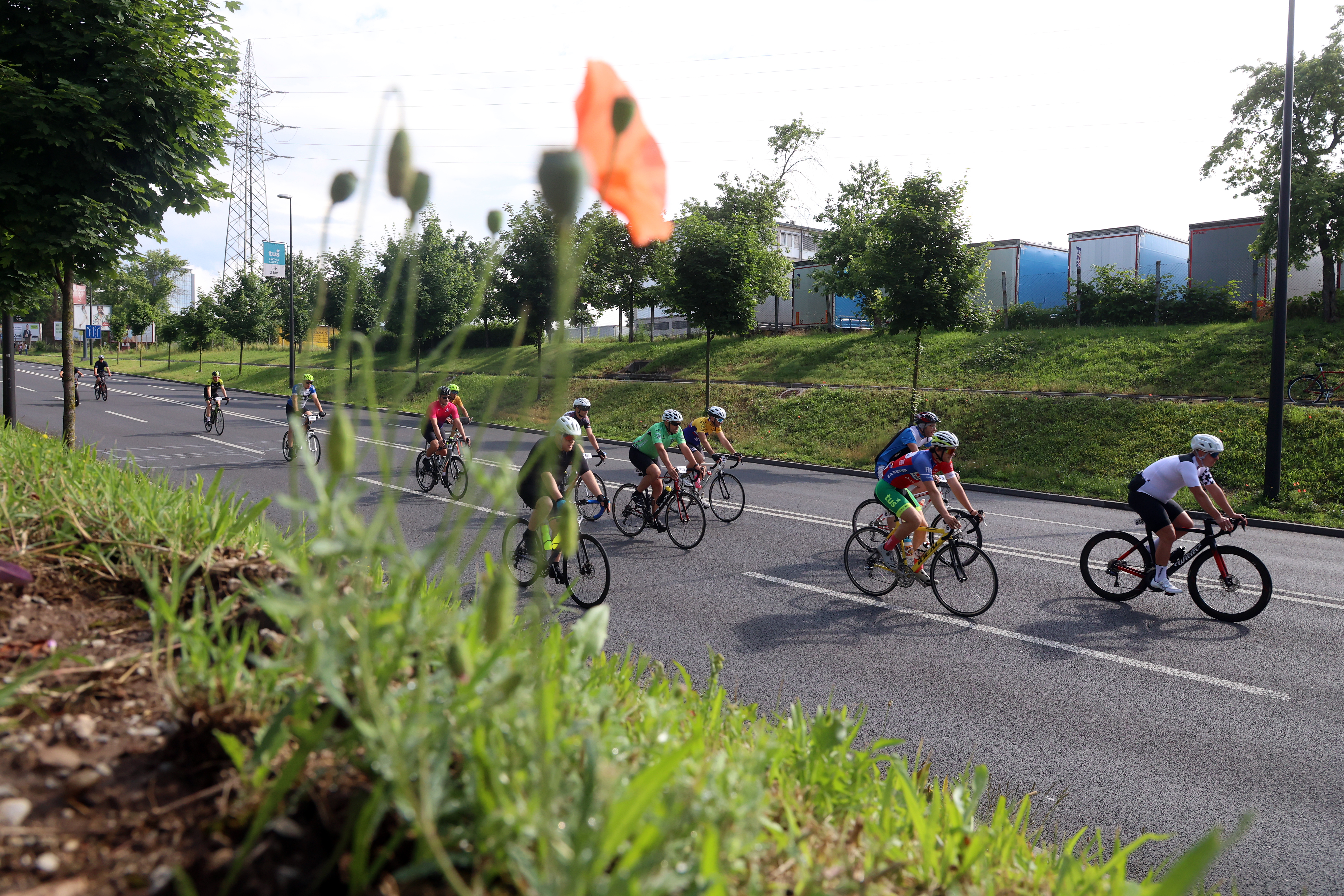 Maraton franja