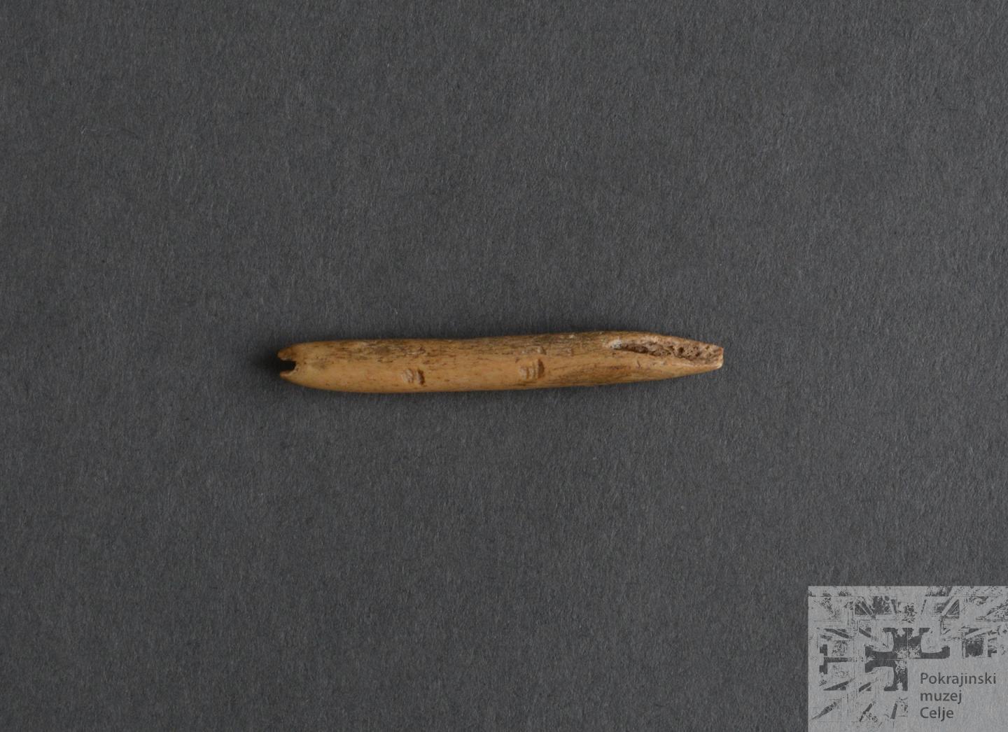 Koščena šivanka, najdena leta 1928 v Potočki zijalki je stara približno bilijon sekund
