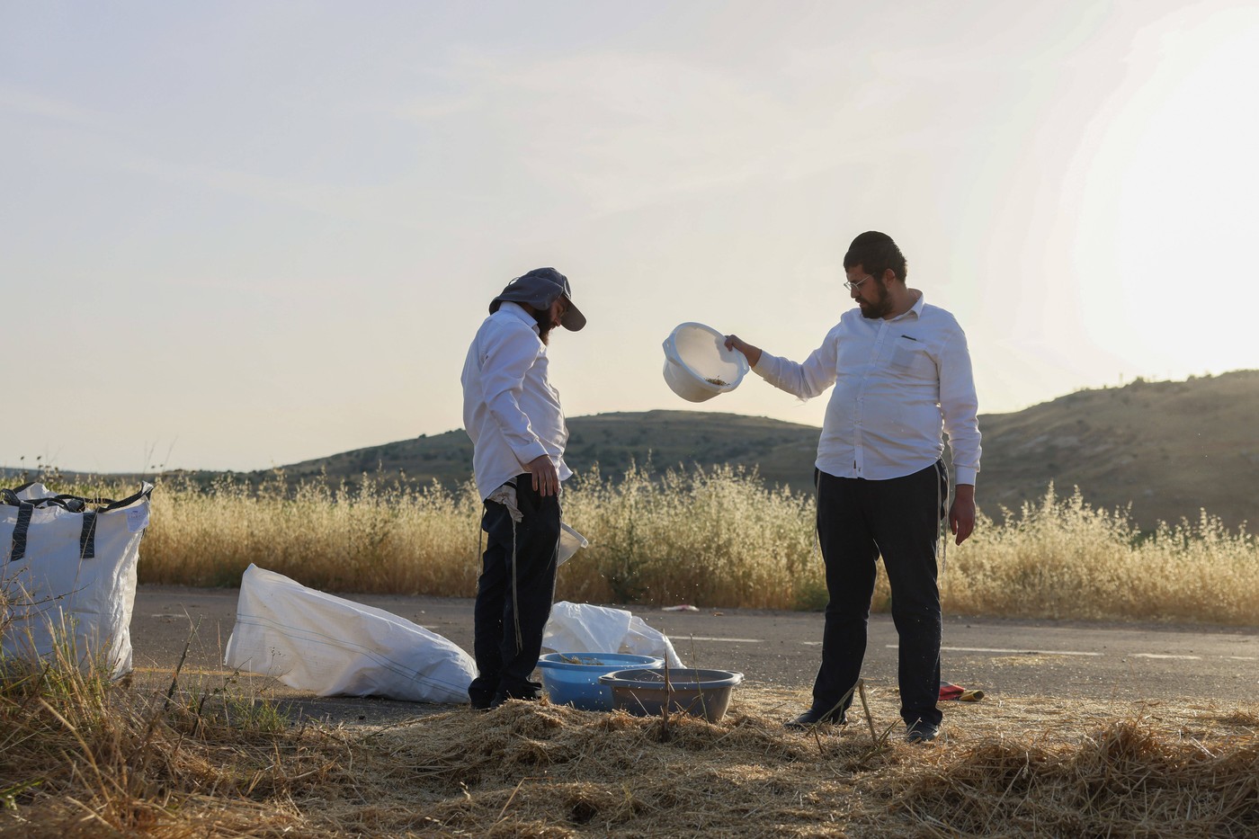 Izraelci na polju na zasedenih palestinskih ozemljih