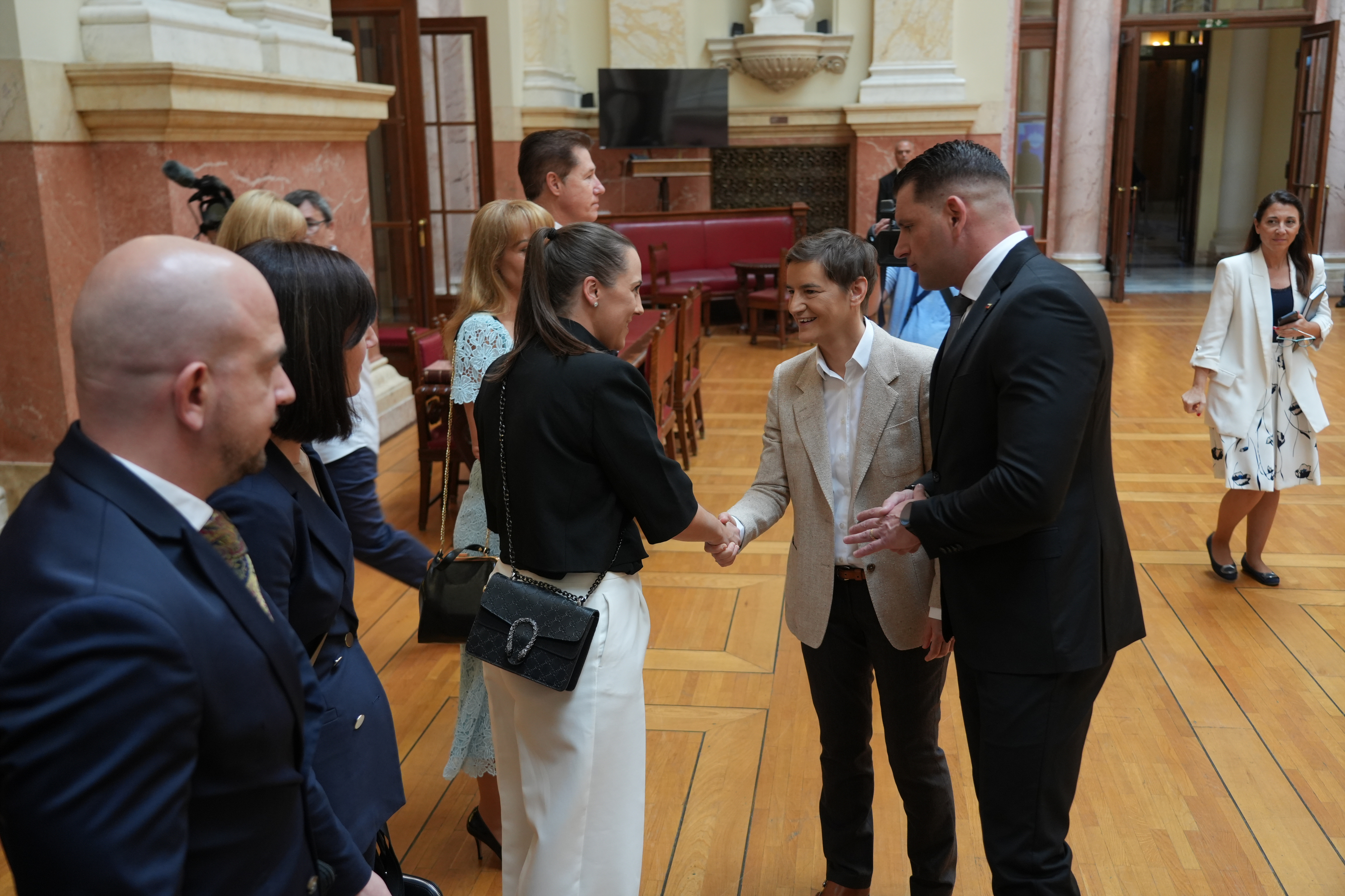 Zoran Stevanović v Srbiji