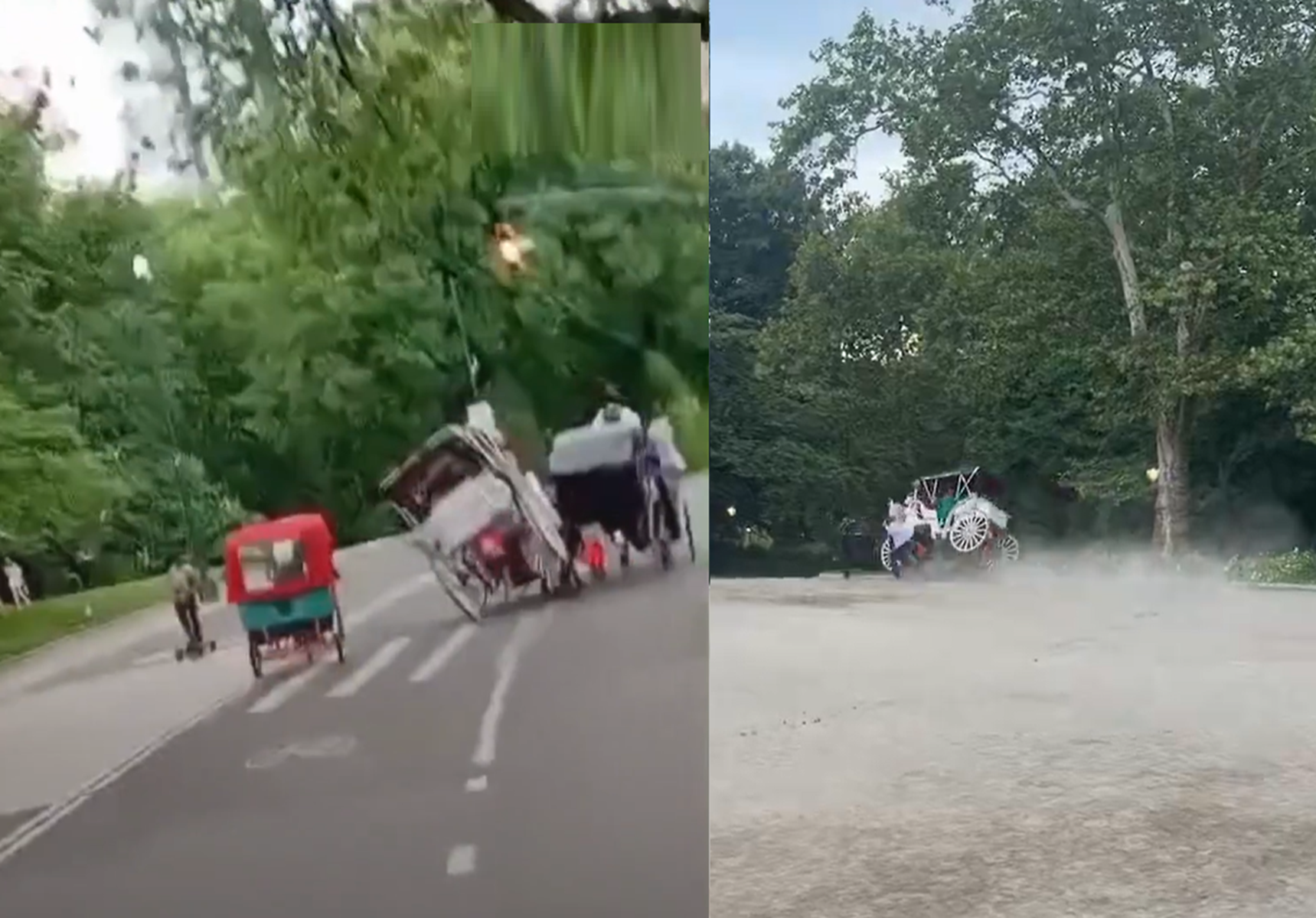 Podivjan konj v newyorškem Centralnem parku