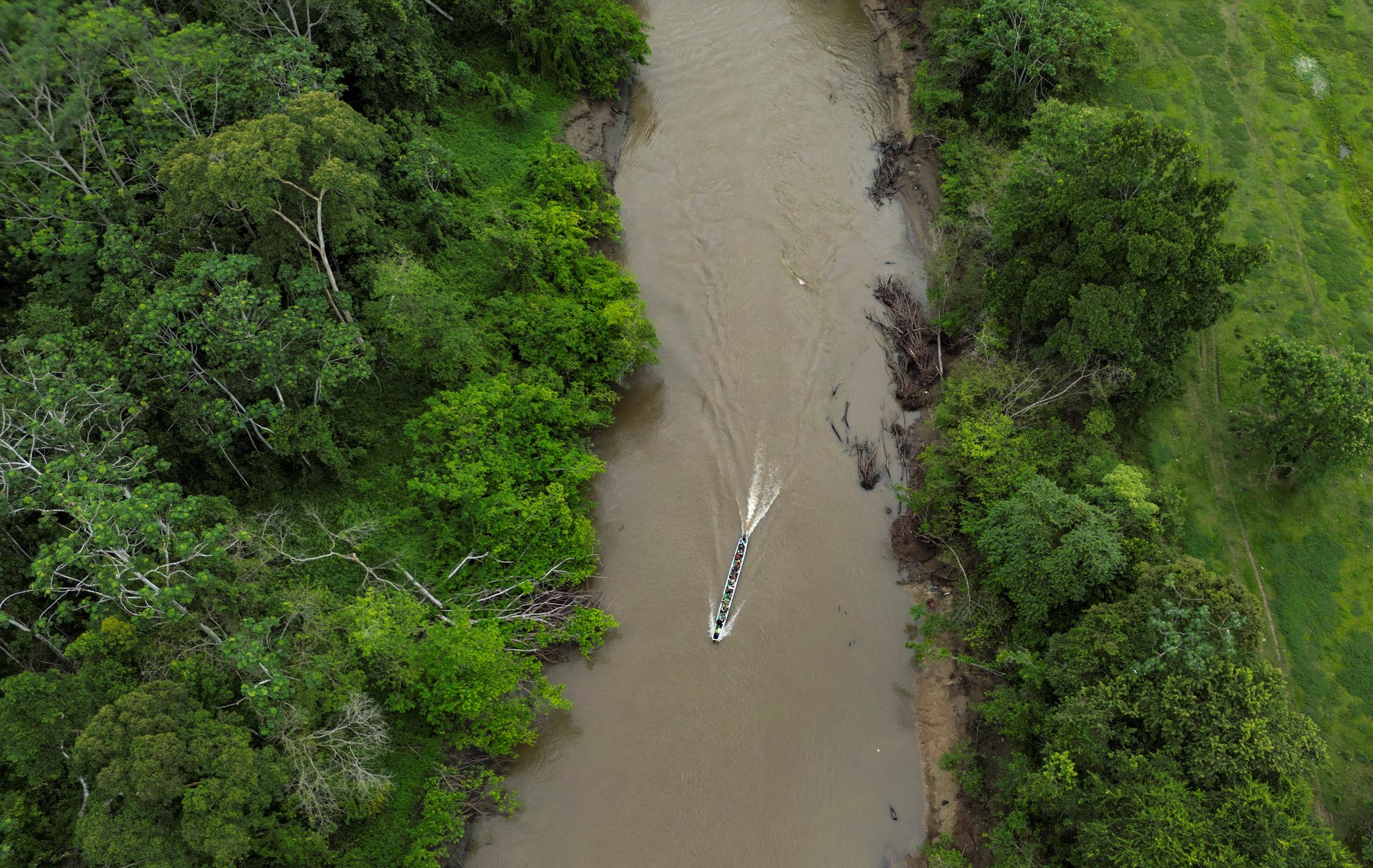 darien gap džungla