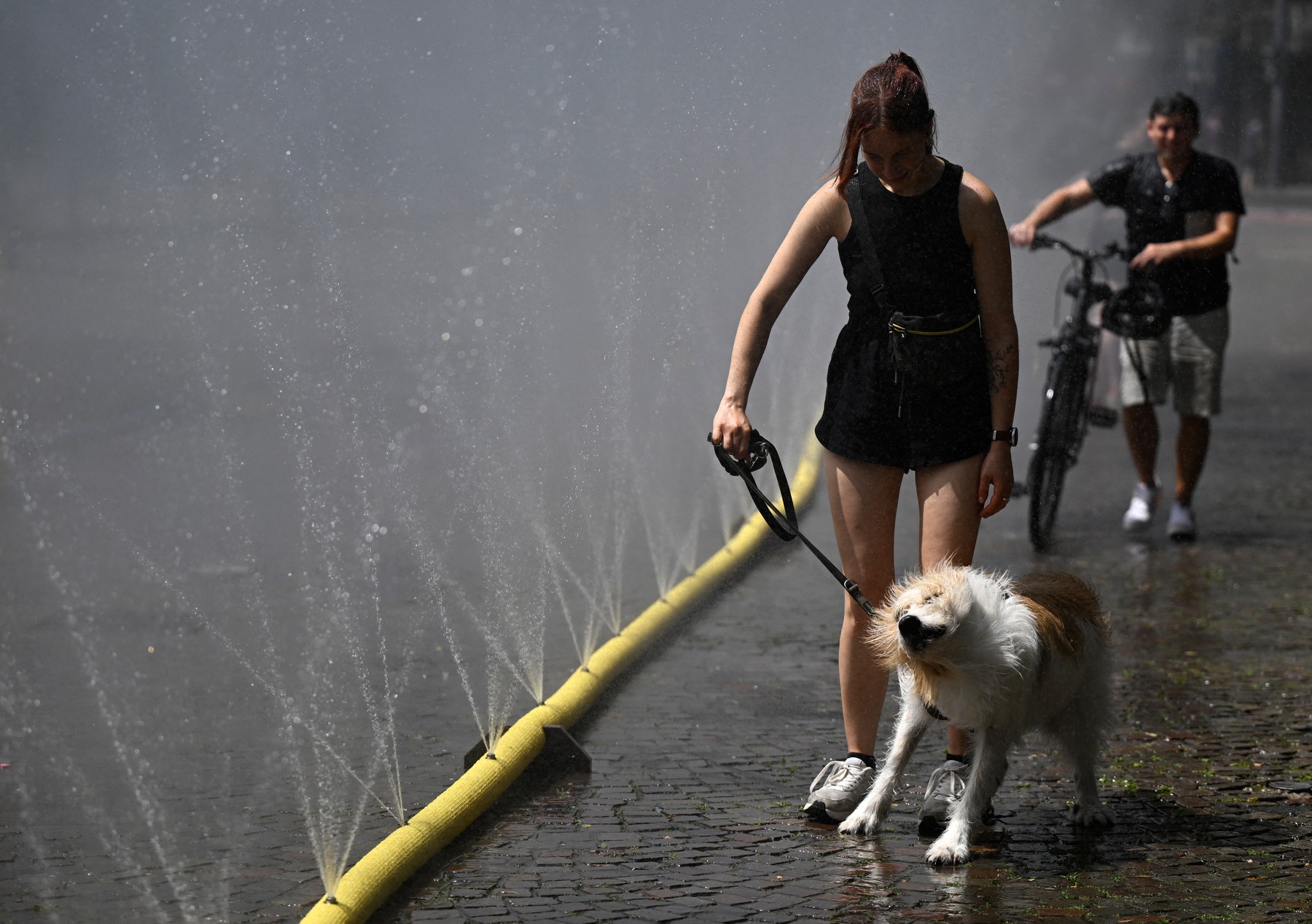 A woman walks her dog past water hoses spilling water to provide relief from the summer heat as part of Cologne’s climate adaptation