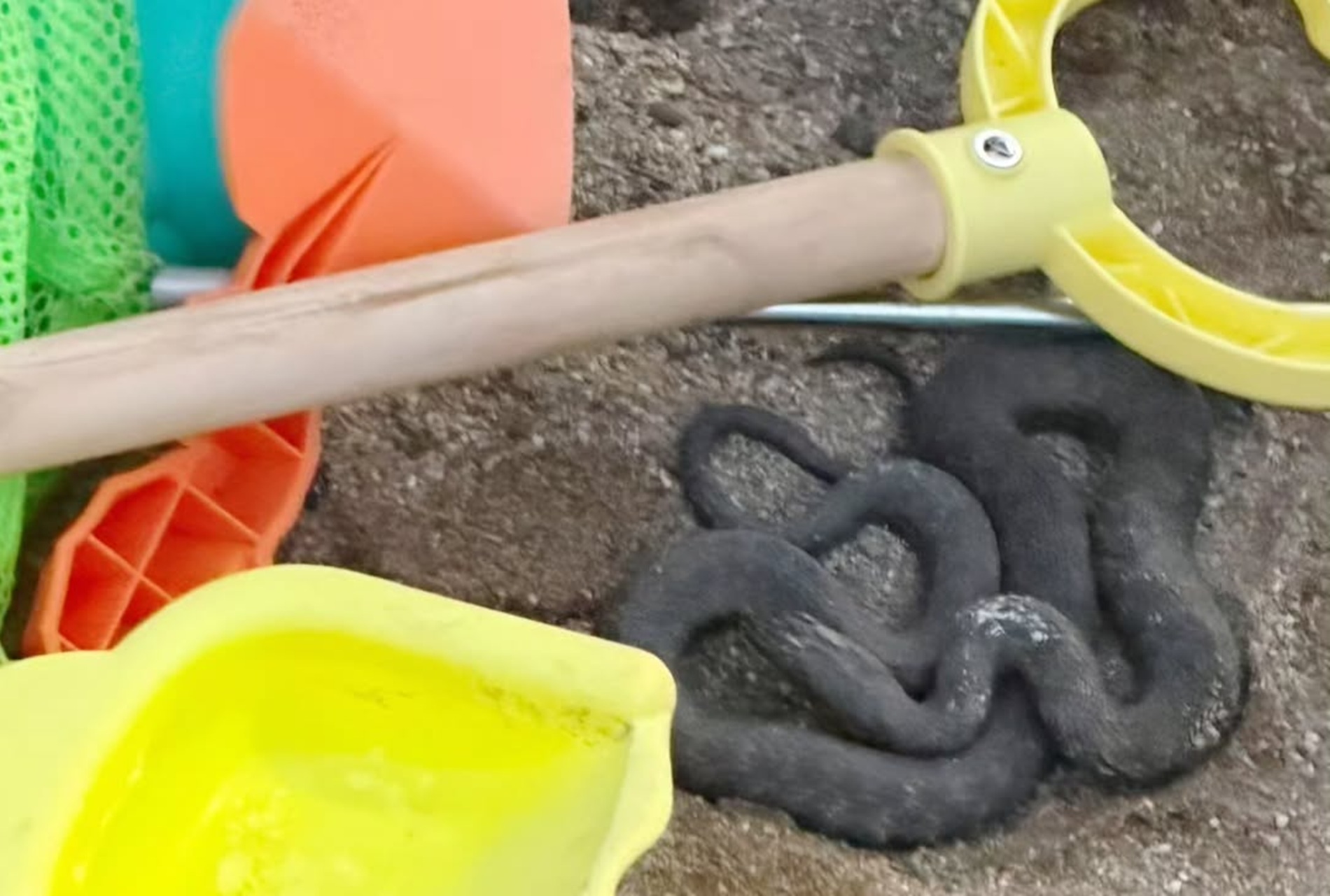 Kača na črnogorski plaži