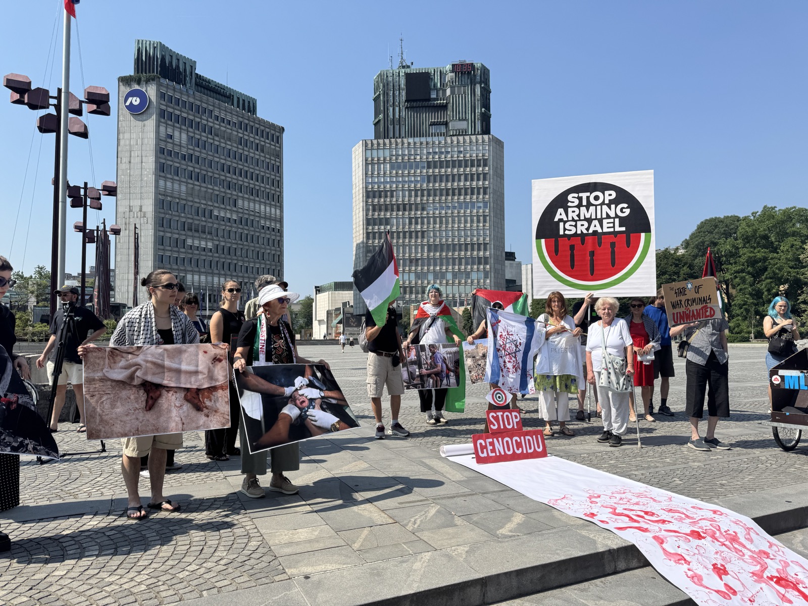 Protest v podporo Palestini