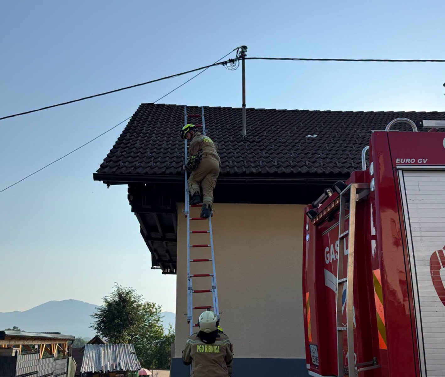 Ribniški gasilci rešili mačka
