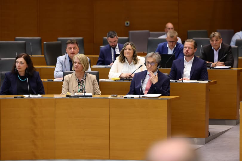 Poslanska skupina Demokratov