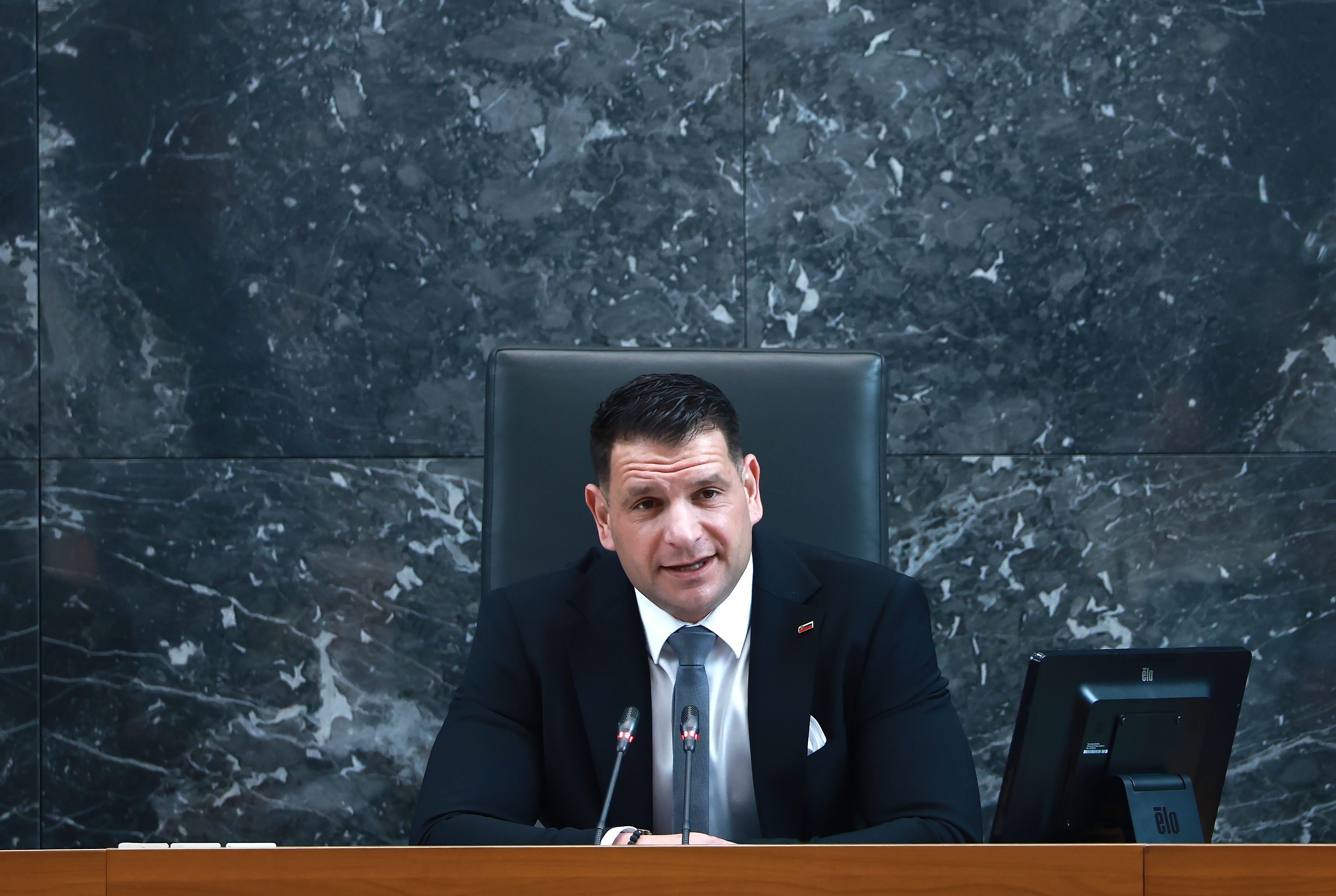 Zoran Stevanović v DZ