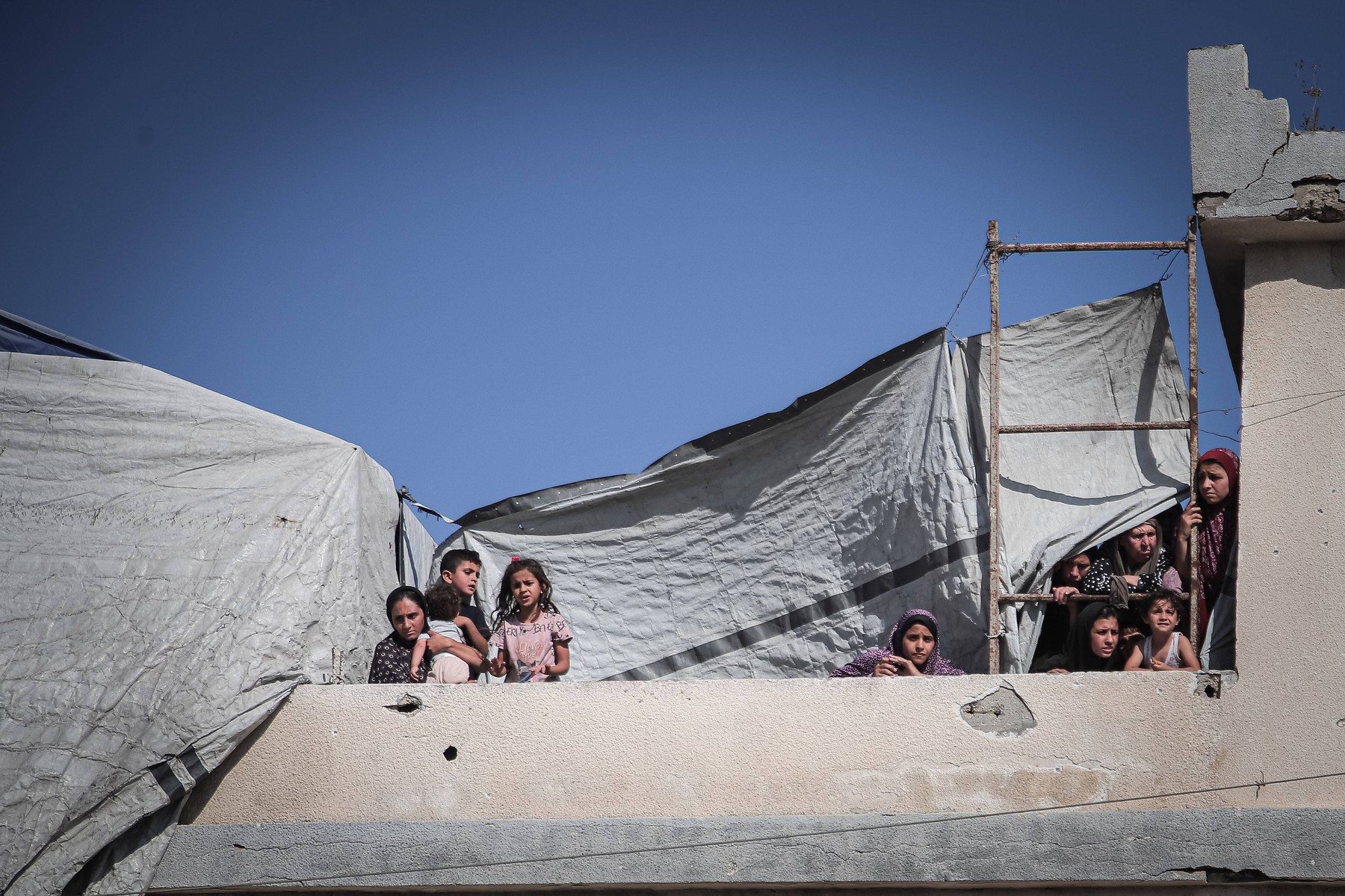 Seven Palestinians Killed, 15 Injured in Israeli Strike on Displacement Tents in Gaza City