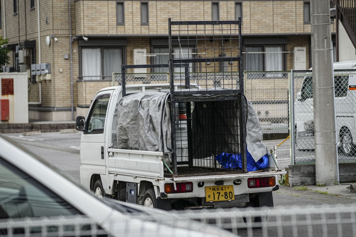 Medveda po več dneh tavanja po japonskem mestu naposled ujeli