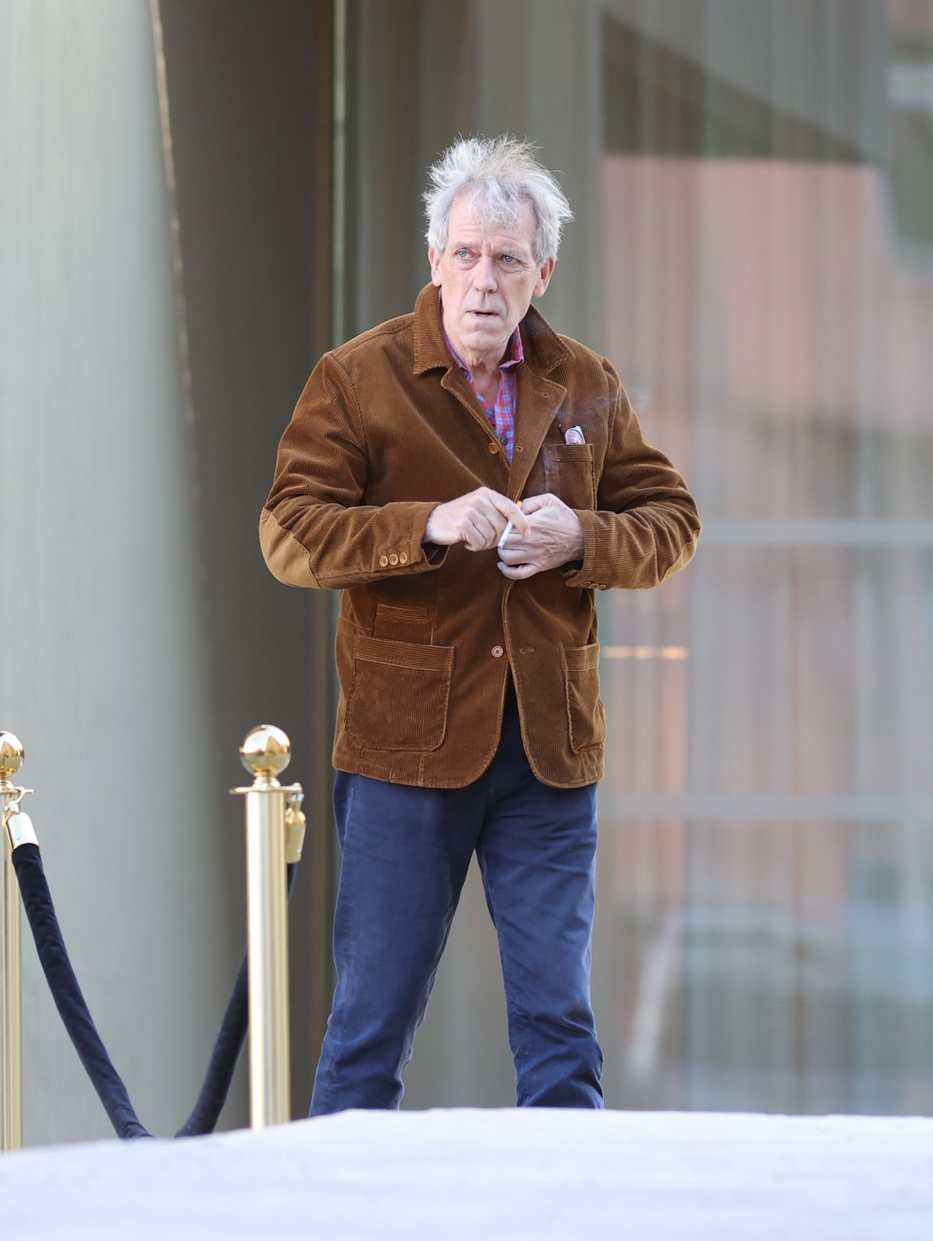 Hugh Laurie