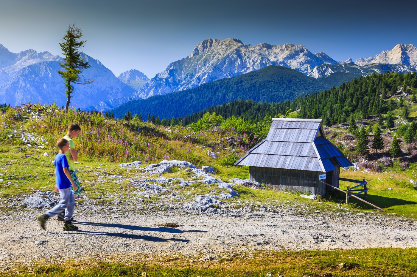 Velika planina