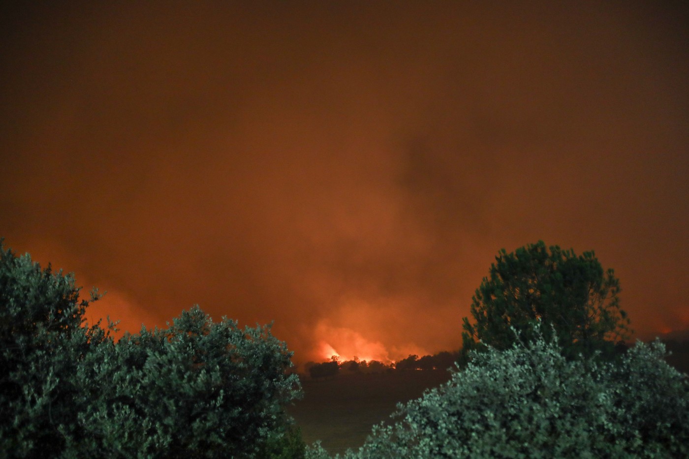 Požar v mestu La Adrada v španski provinci Avila