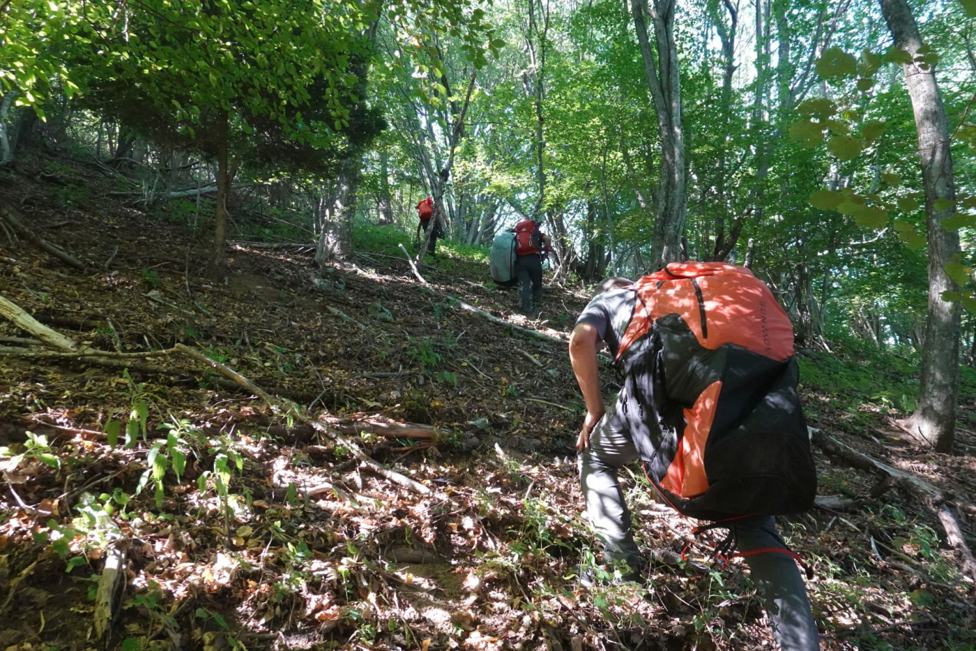 Reševanje jadralnega padalca na Tolminskem