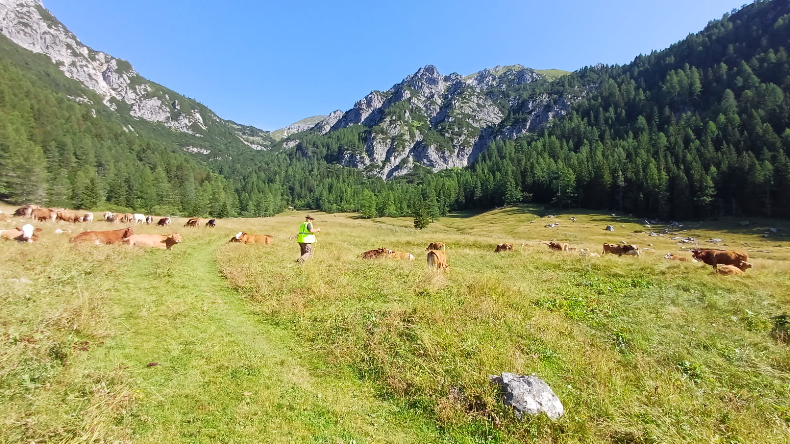 Konjščica, planina