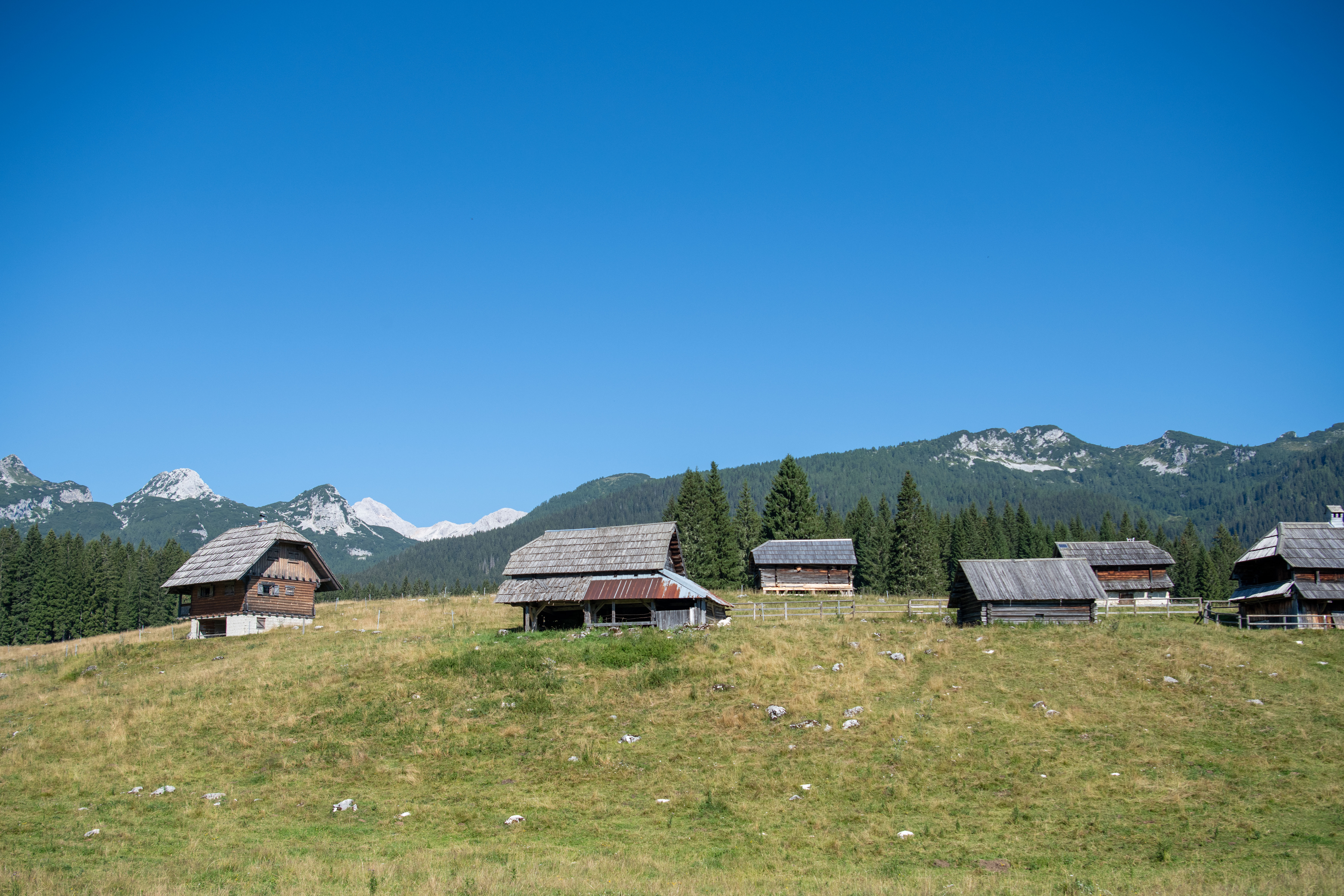 stan, Zajavornik, planina
