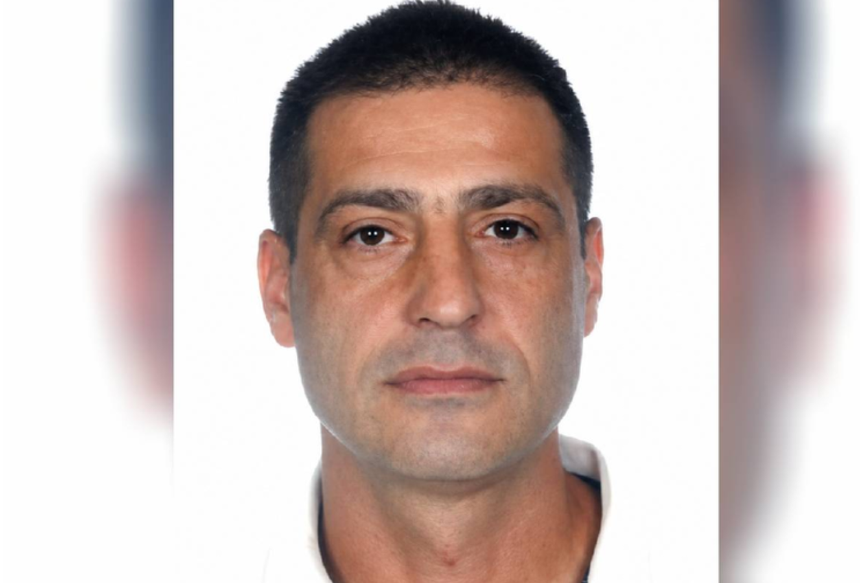 Danijel Trninić