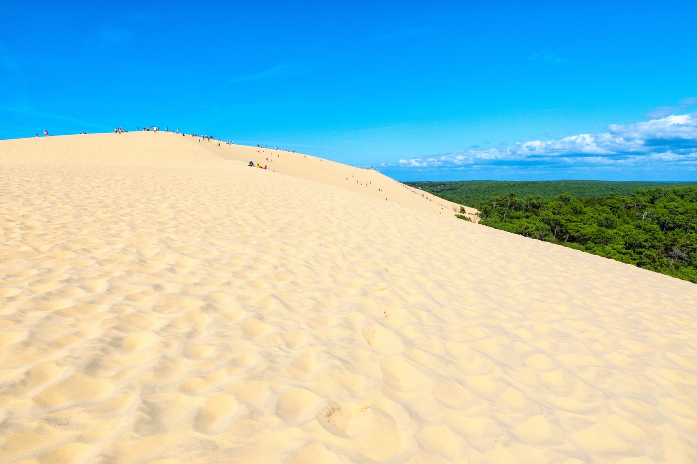 Dune du Pilat