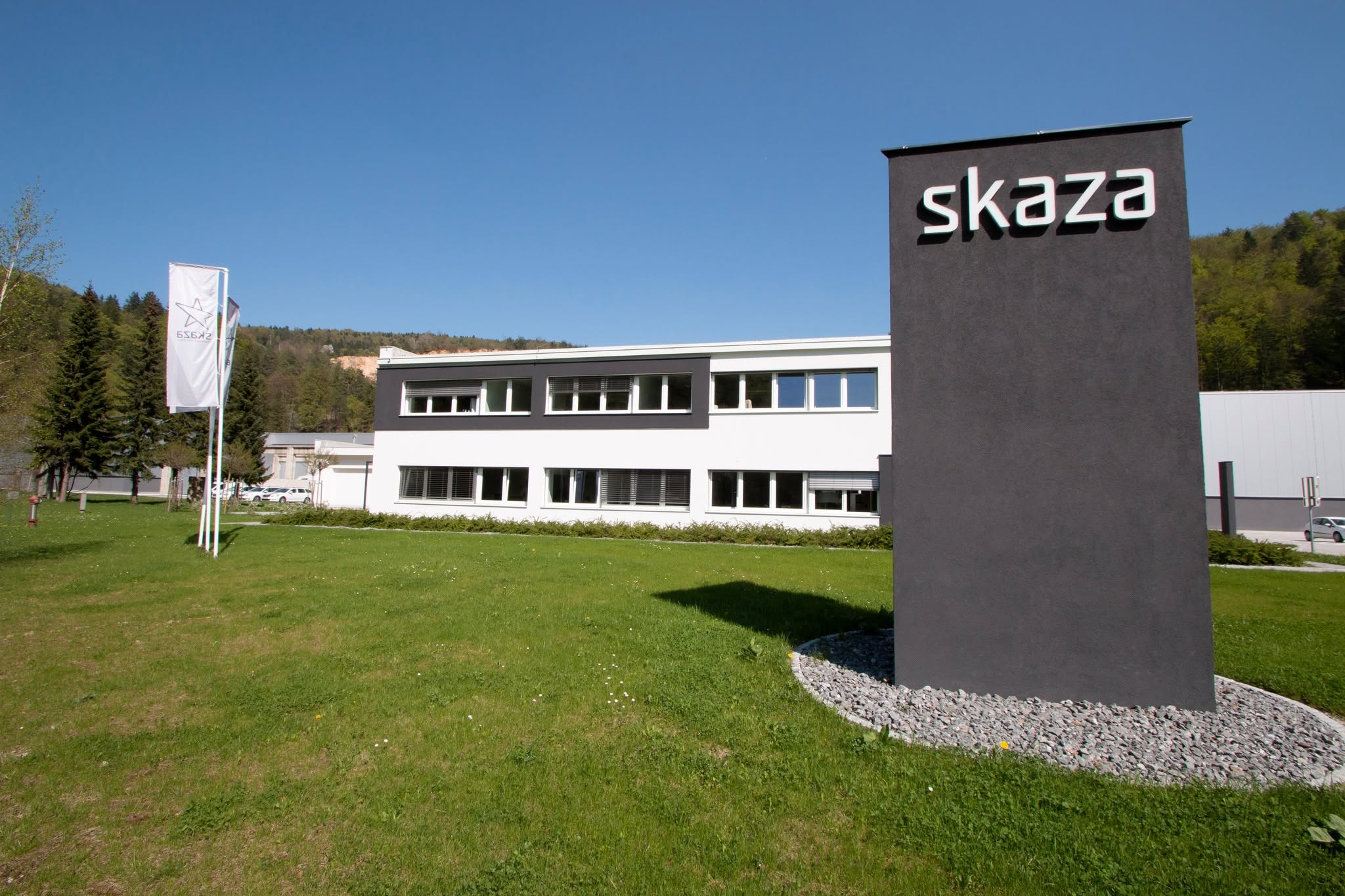 Plastika Skaza