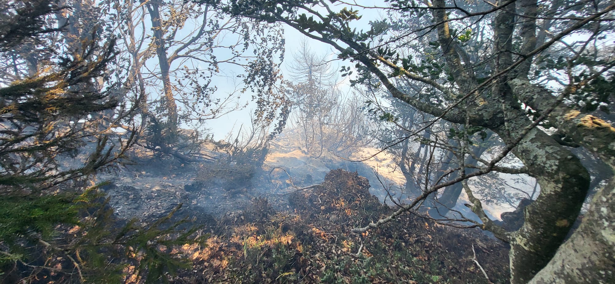 požar na Bovškem
