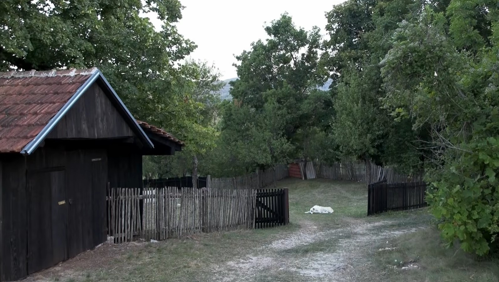Očijevo