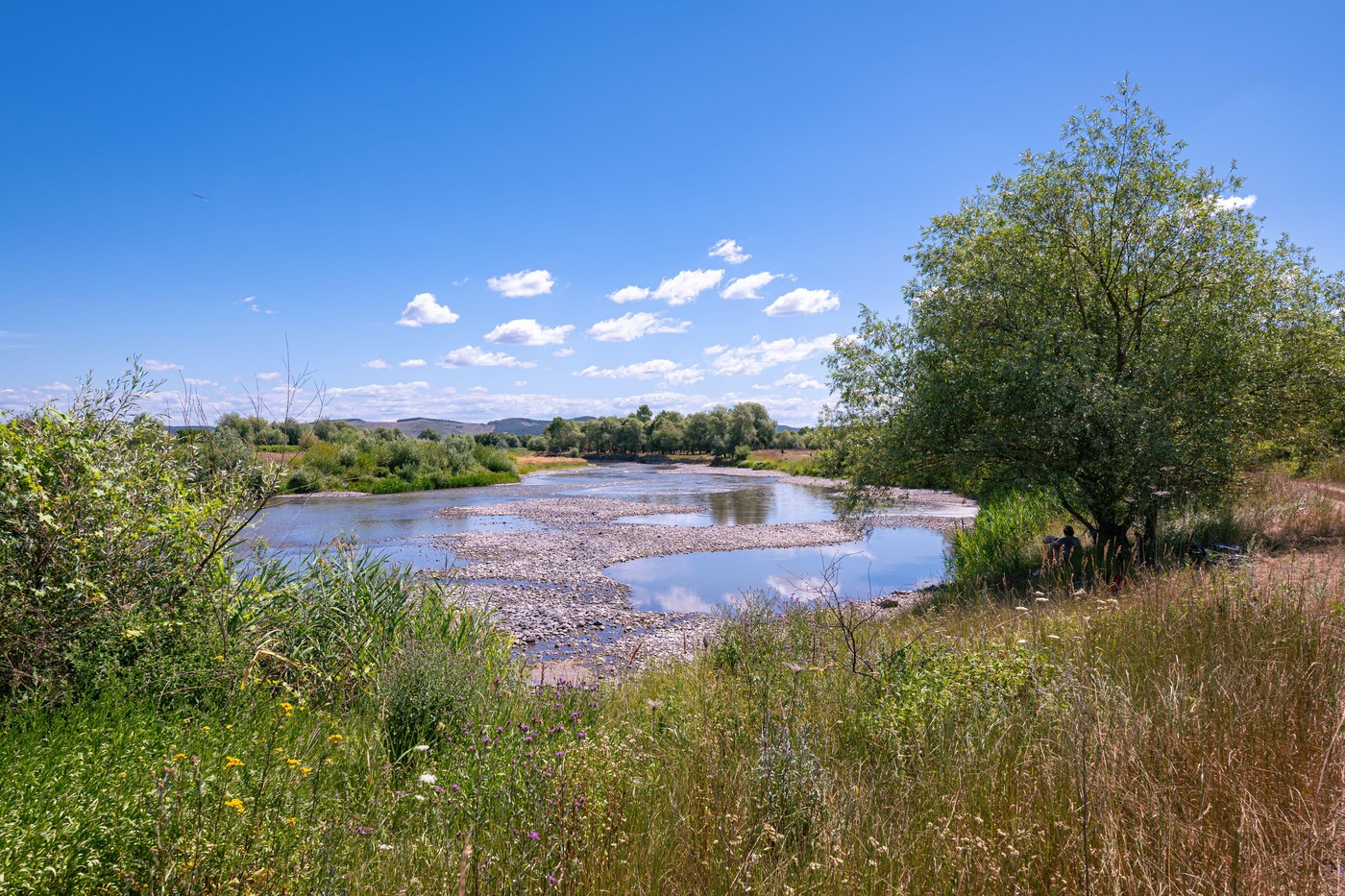 struga reke Mures v Romuniji suši