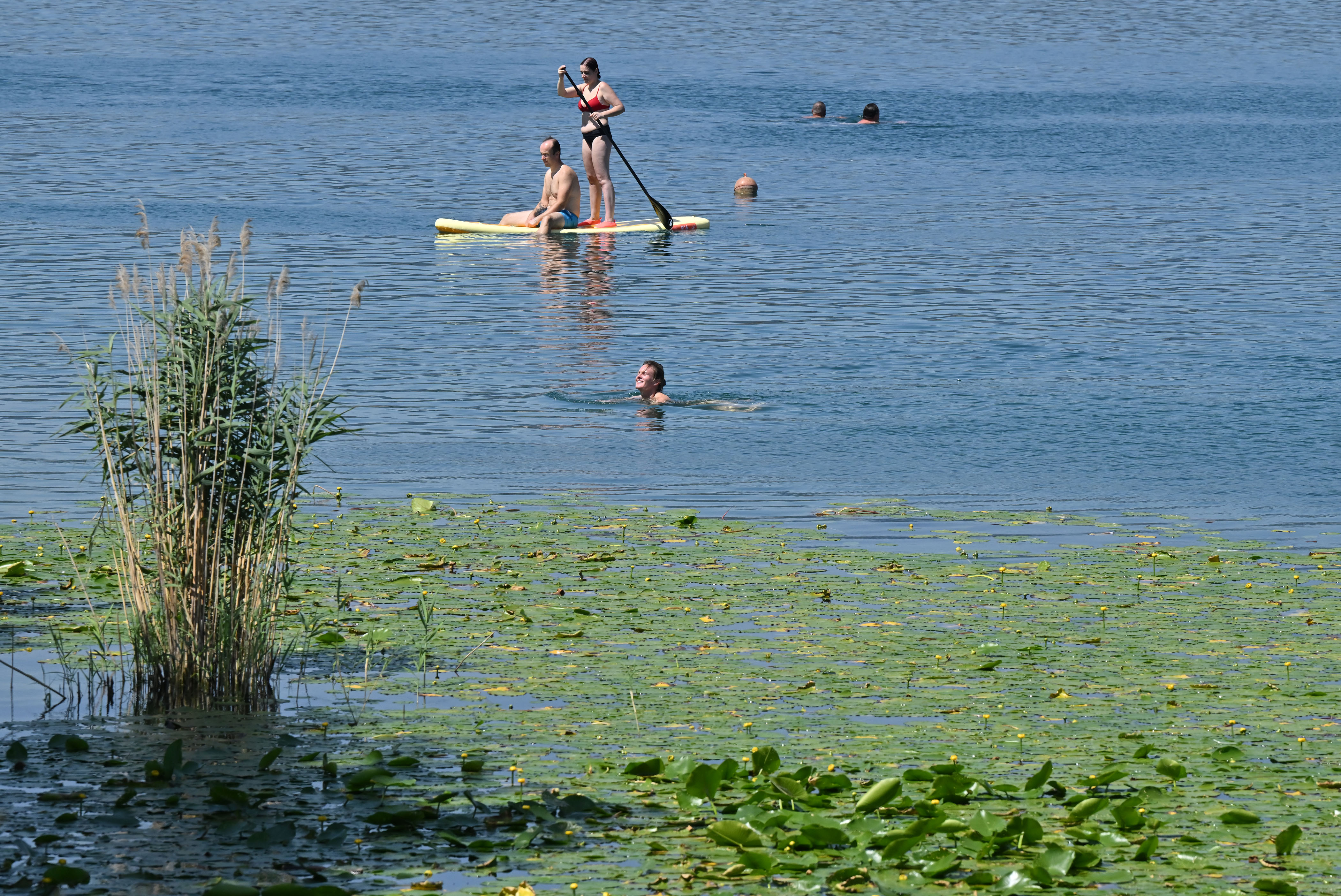 Velenjsko jezero