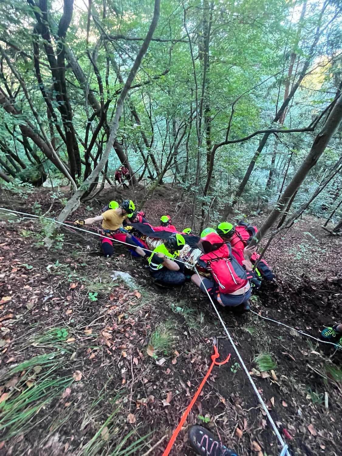 intervencija grs radovljica