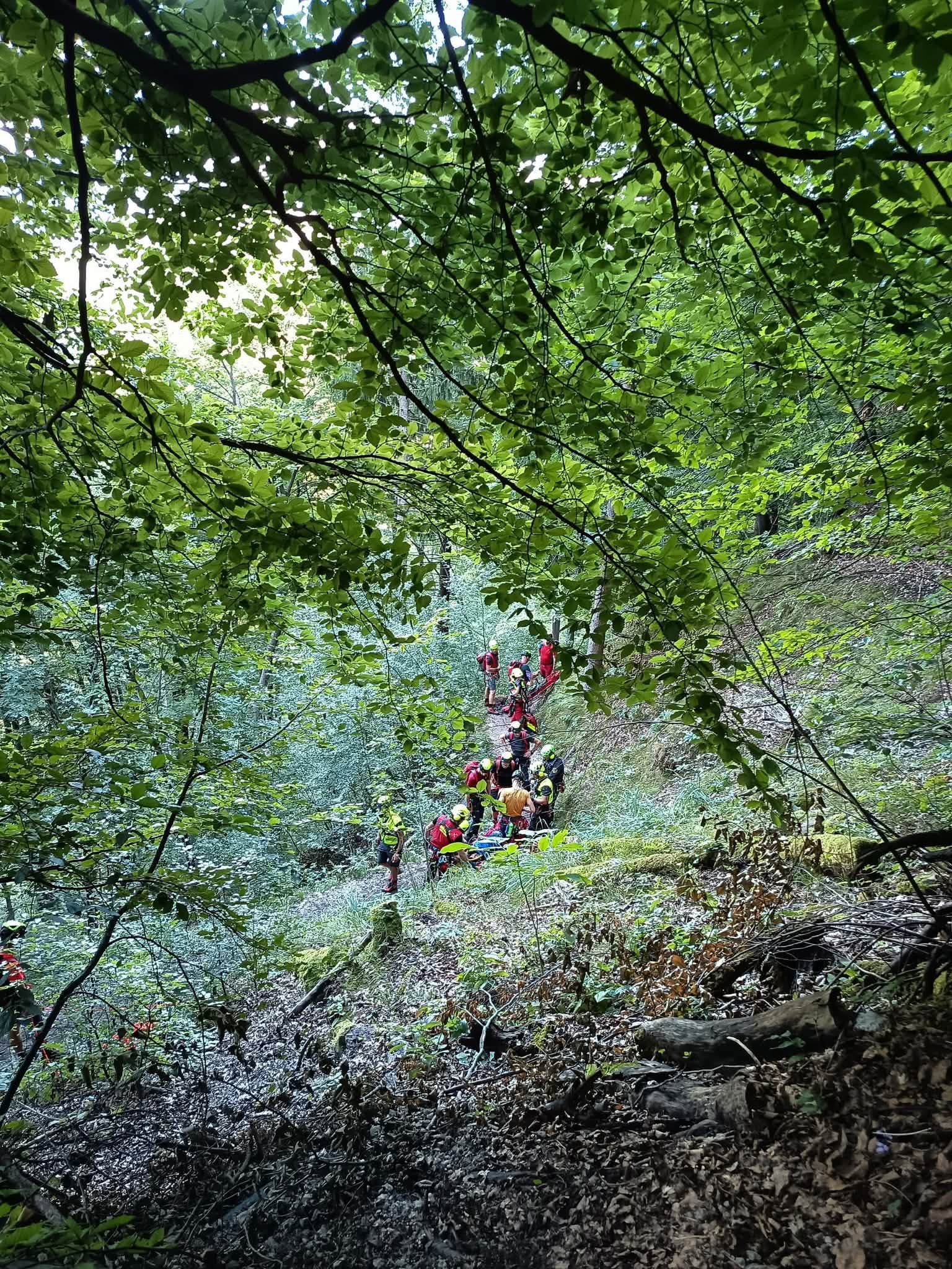 intervencija grs radovljica