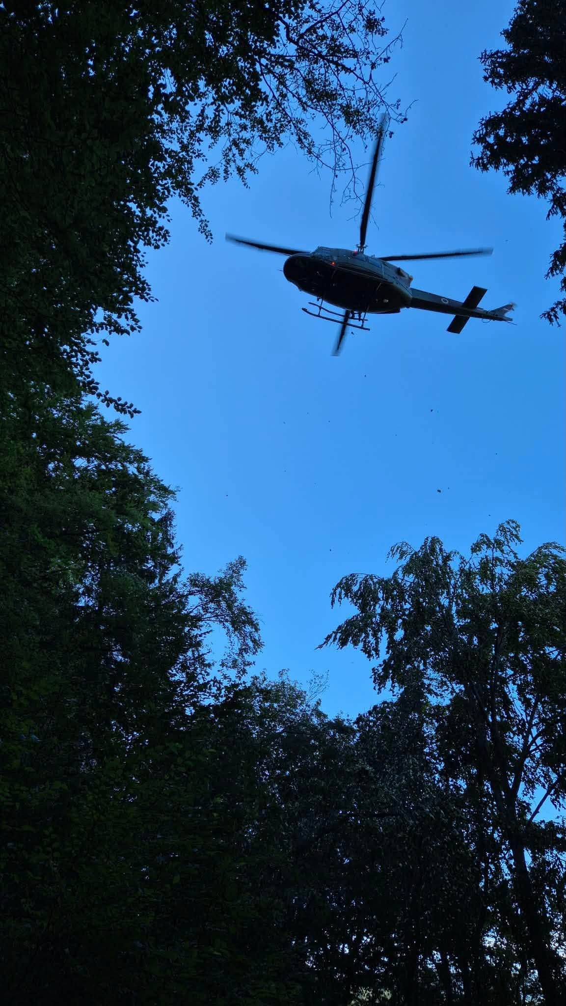 intervencija grs radovljica