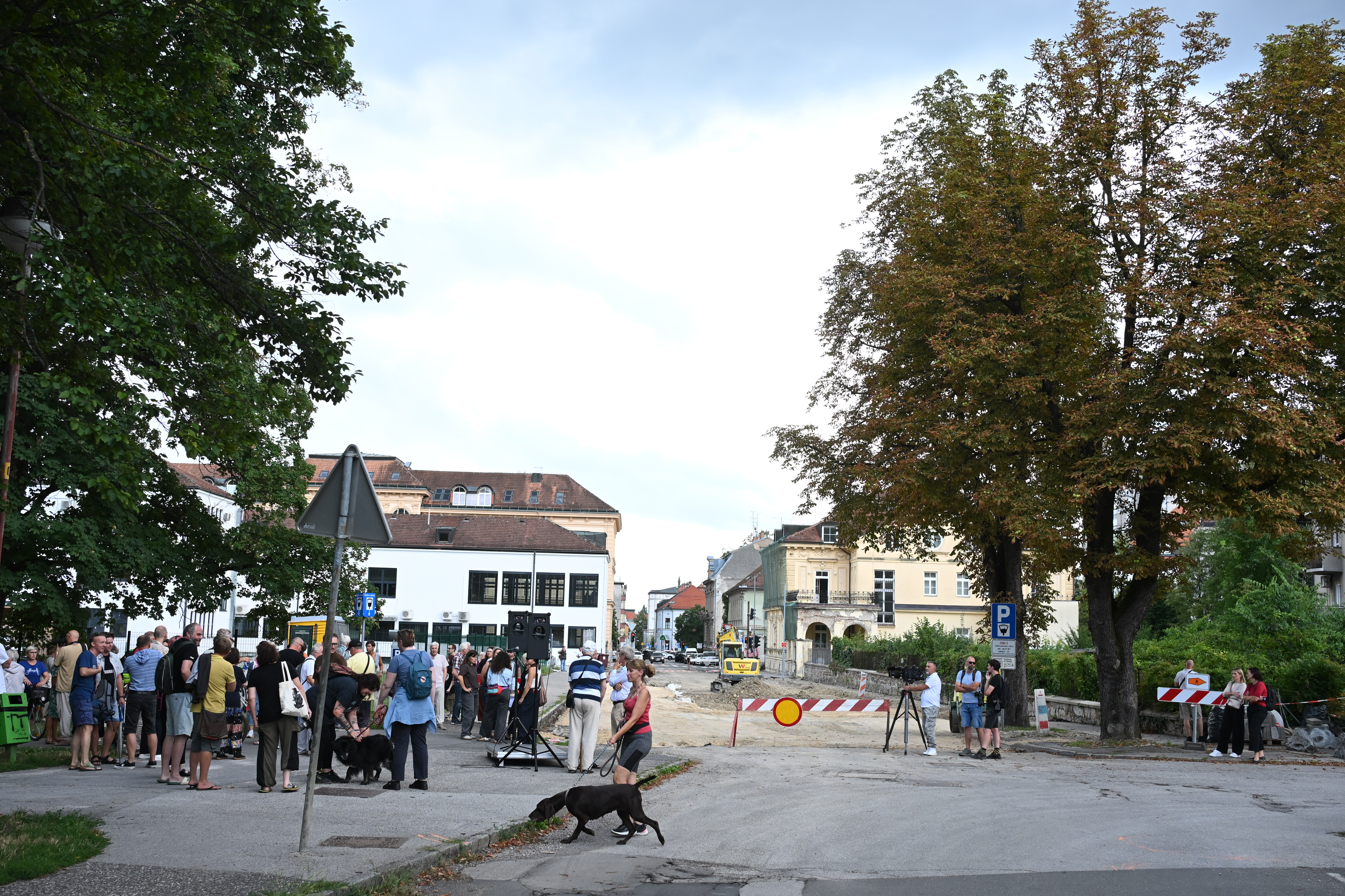 protest zaradi poseka dreves v Mariboru