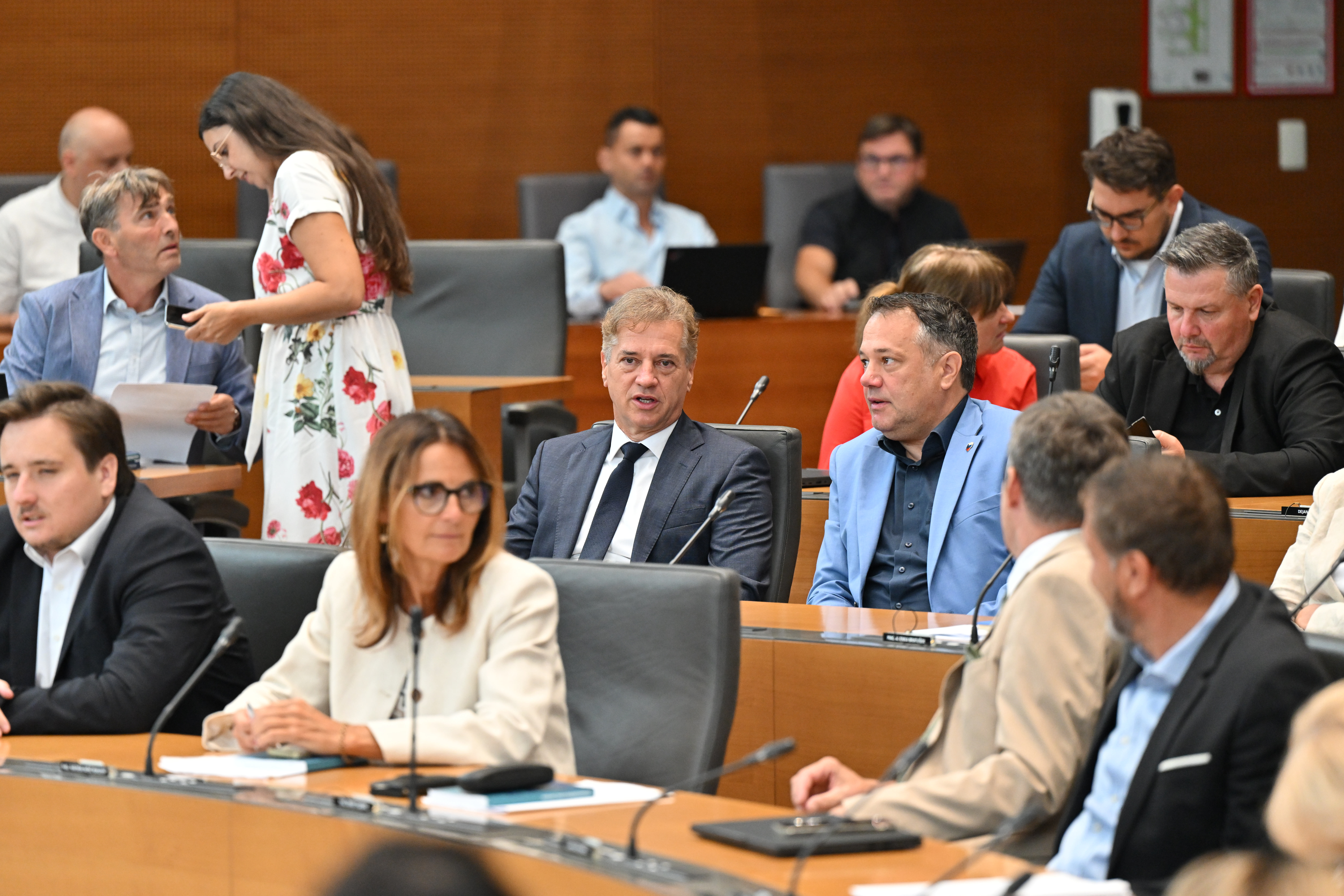 DZ podprl tri posvetovalne referendume
