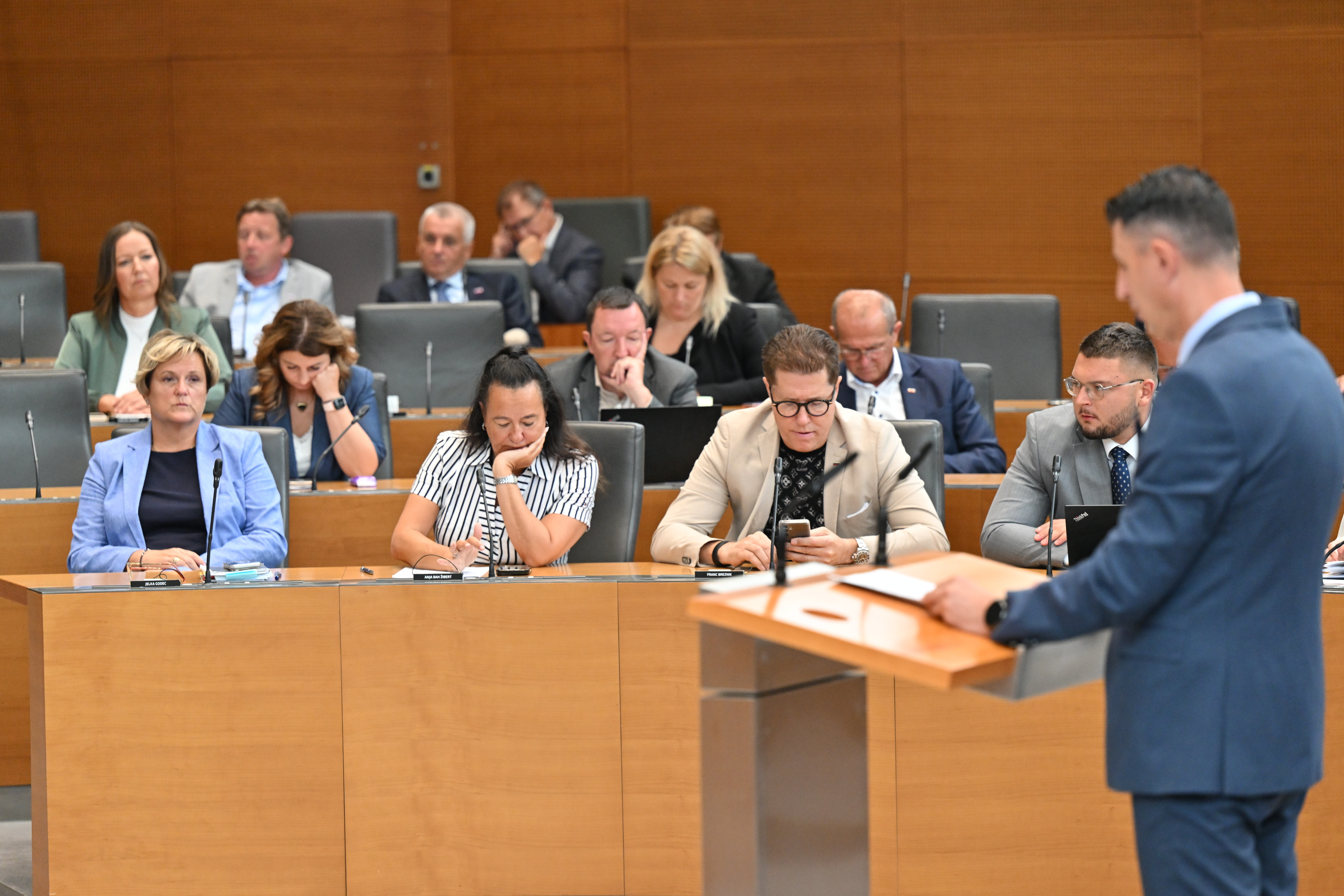 DZ podprl tri posvetovalne referendume