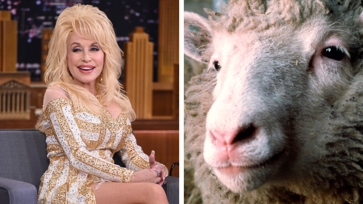 Dolly Parton in ovca Dolly, prvi klonirani sesalec na svetu