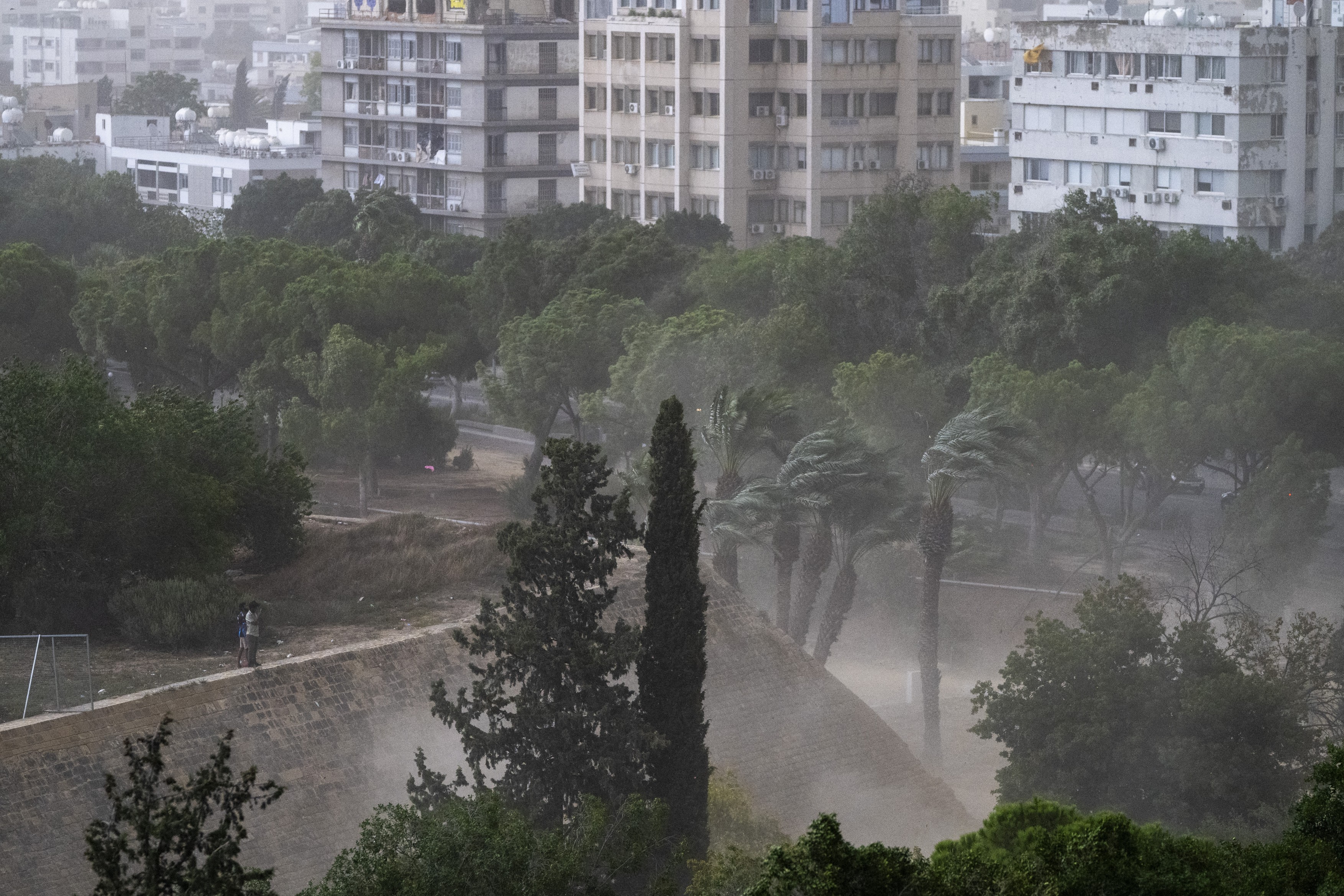 Men stand in a park watching strong winds blow during a storm in Nicosia on August 29, 2026.,Image: 1129063786, License: Rights-managed, Restrictions: , Model Release: no