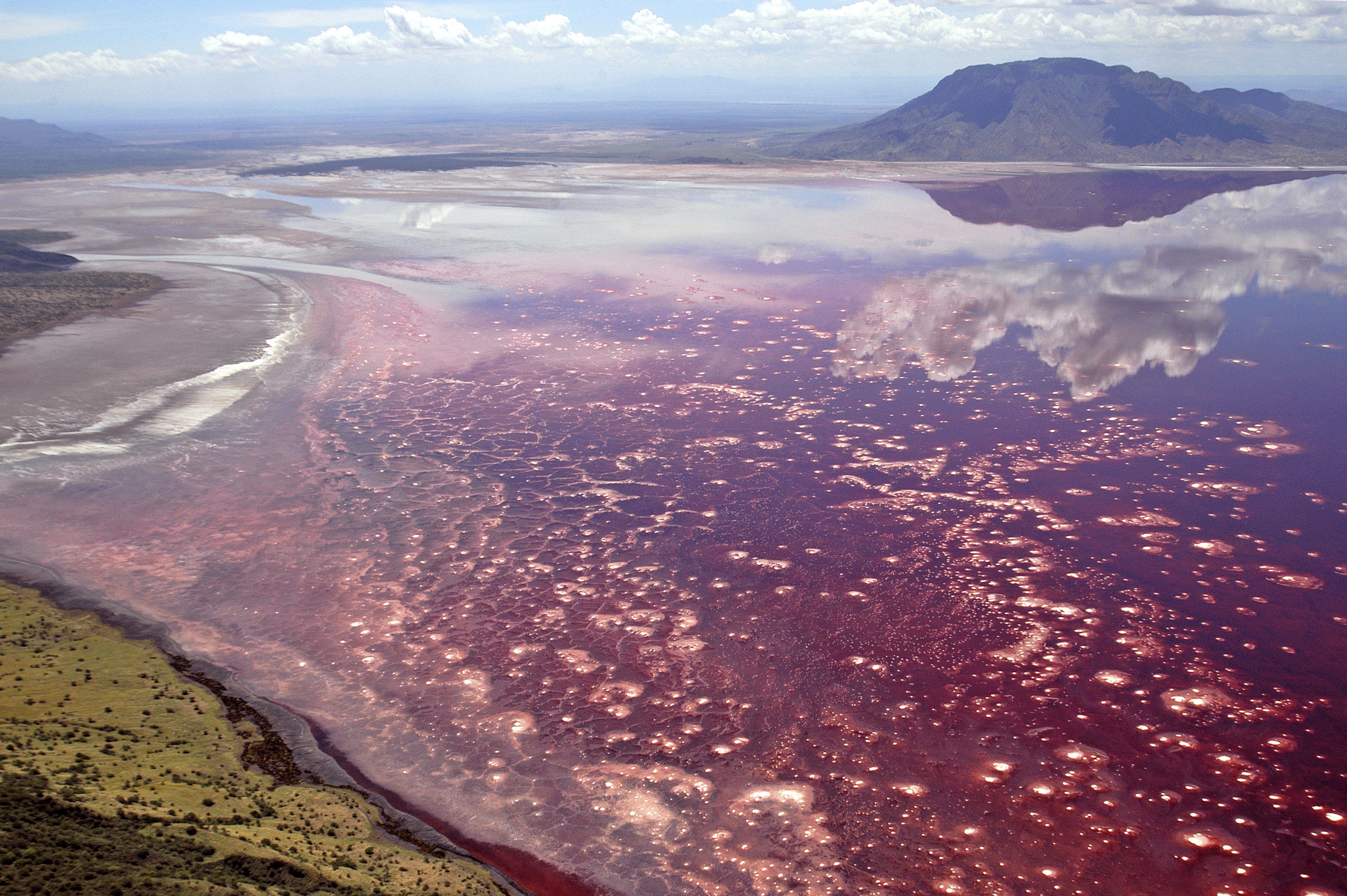 Aerial photo, Lake Natron, a salt lake in the north of Tanzania, Africa,Image: 88566923, License: Rights-managed, Restrictions: , Model Release: no