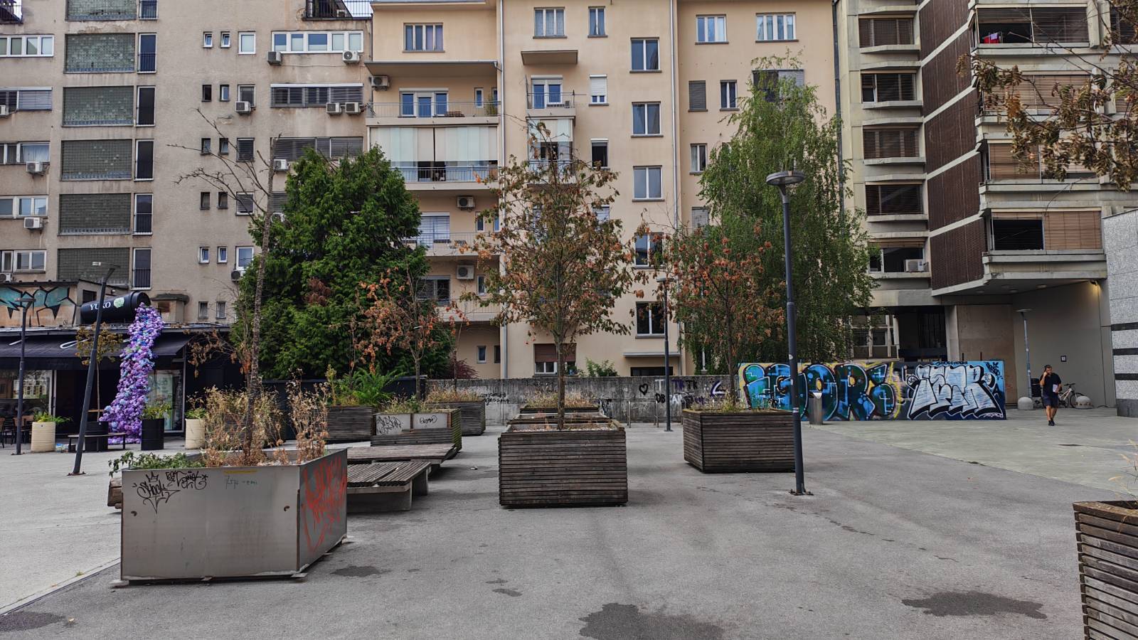 drevesa v Ljubljani, suho listje