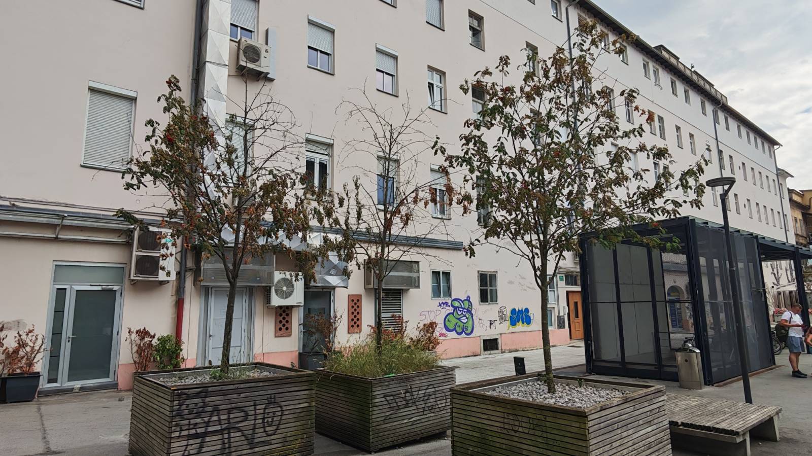 drevesa v Ljubljani, suho listje