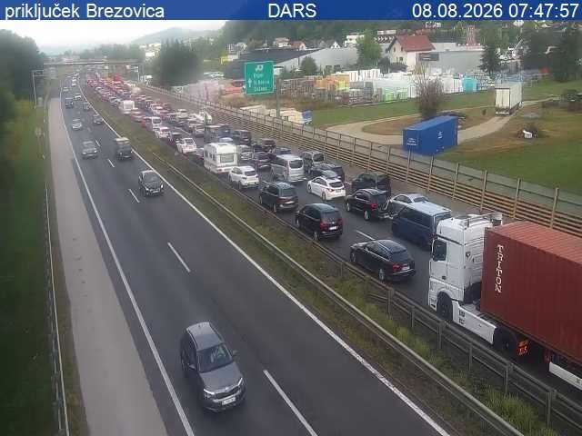 Brezovica gneča