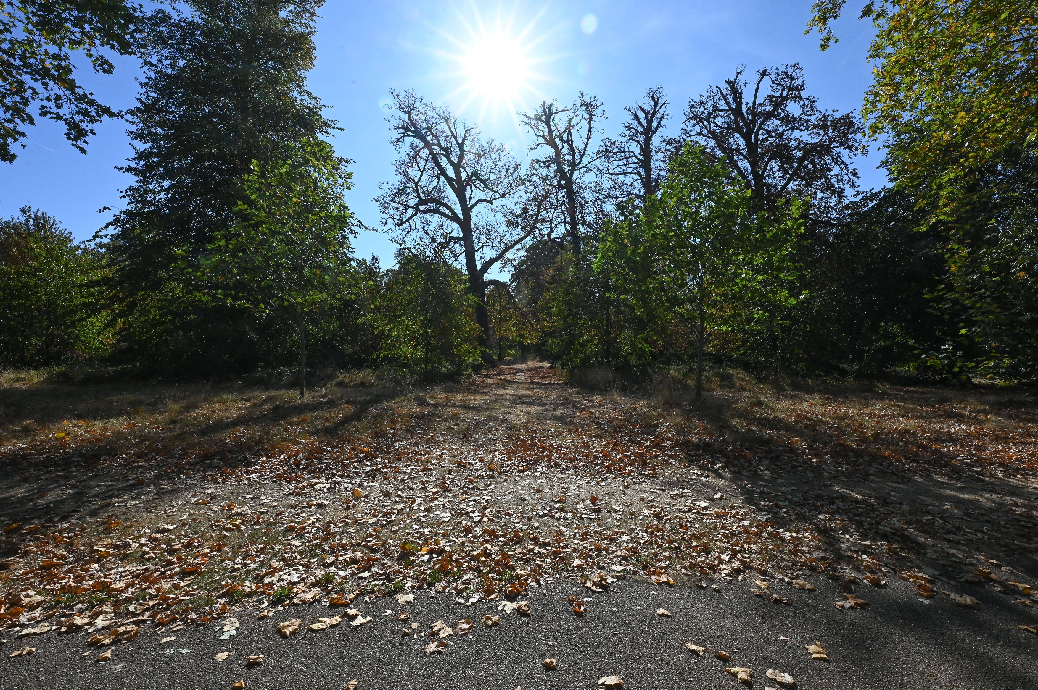 Hyde Park, London
