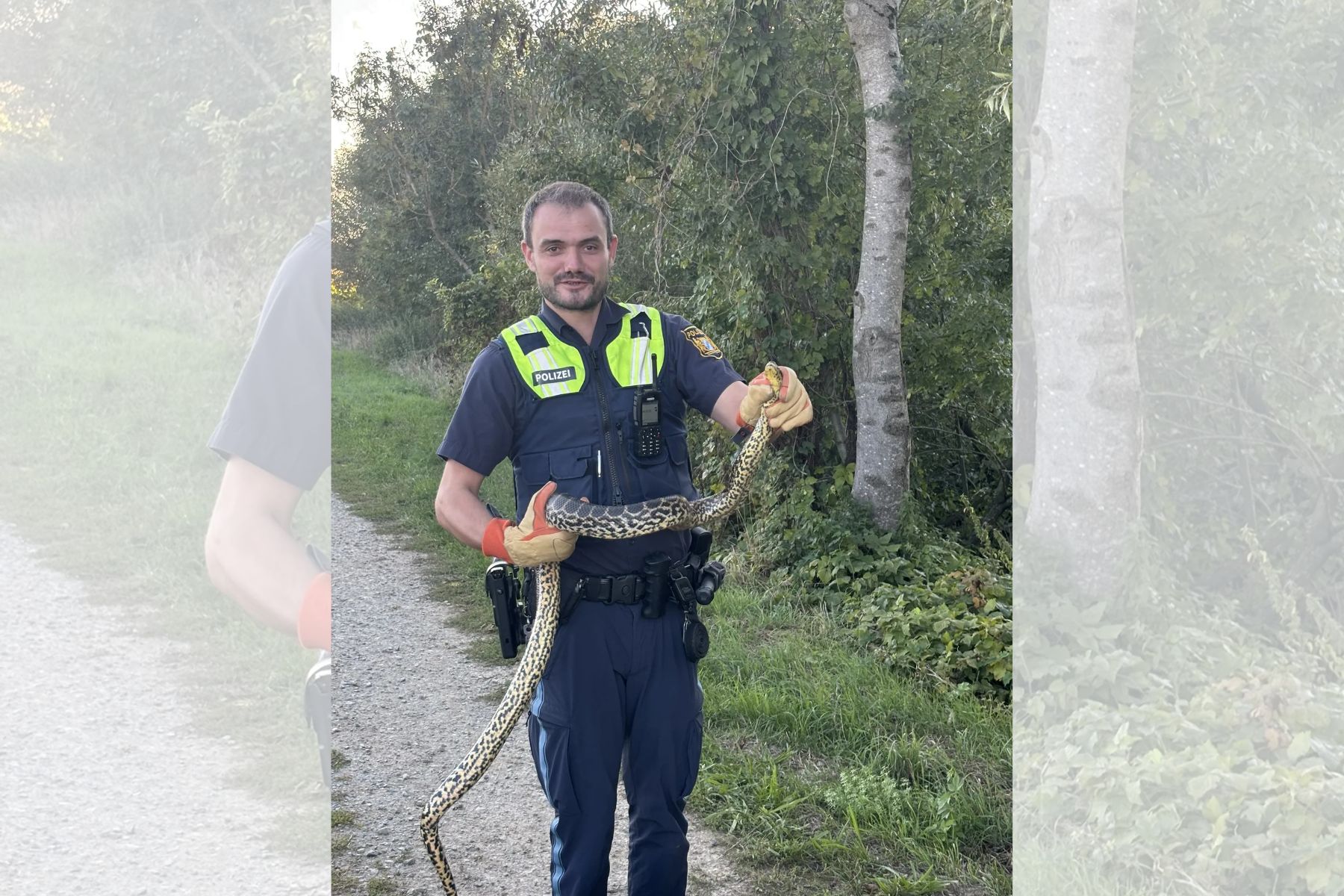 V Nemčiji je domačinka opazila anakondo