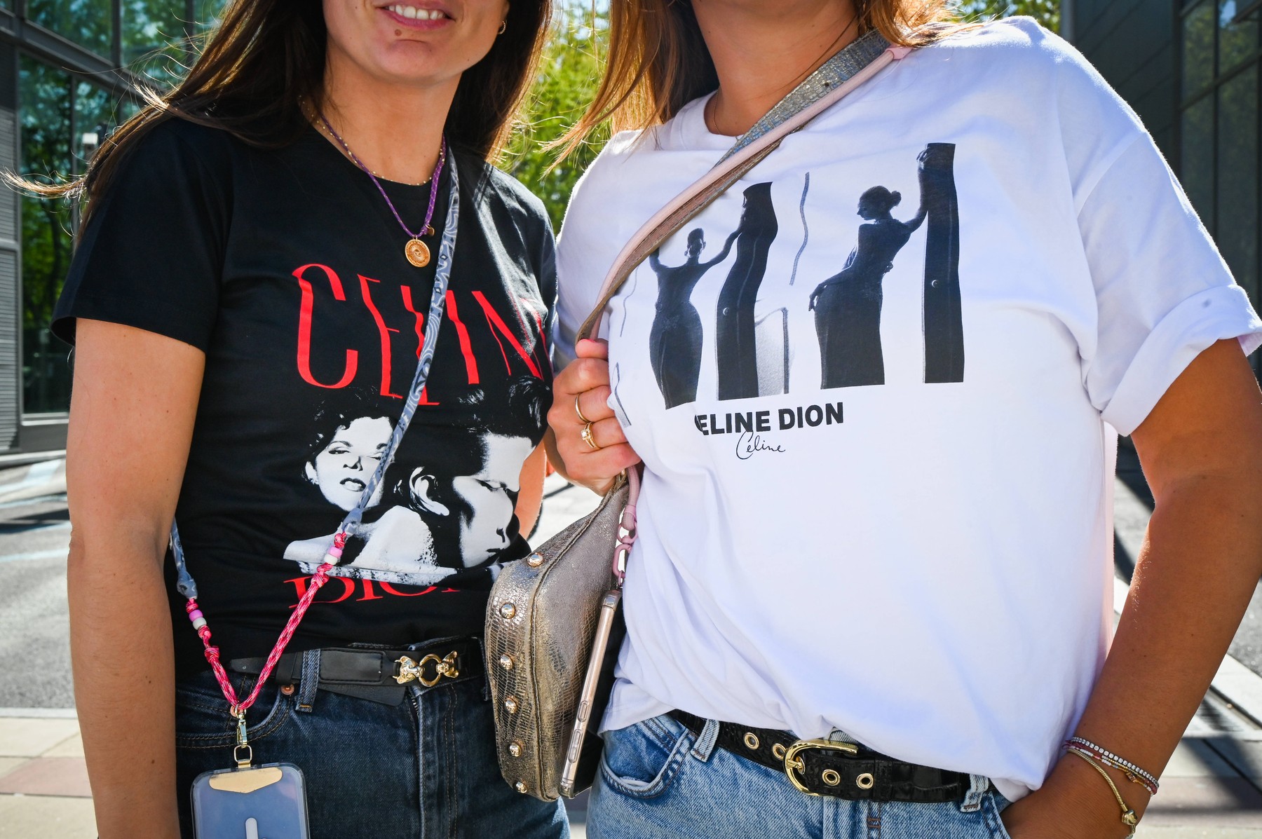 koncert Celine Dion v Parizu