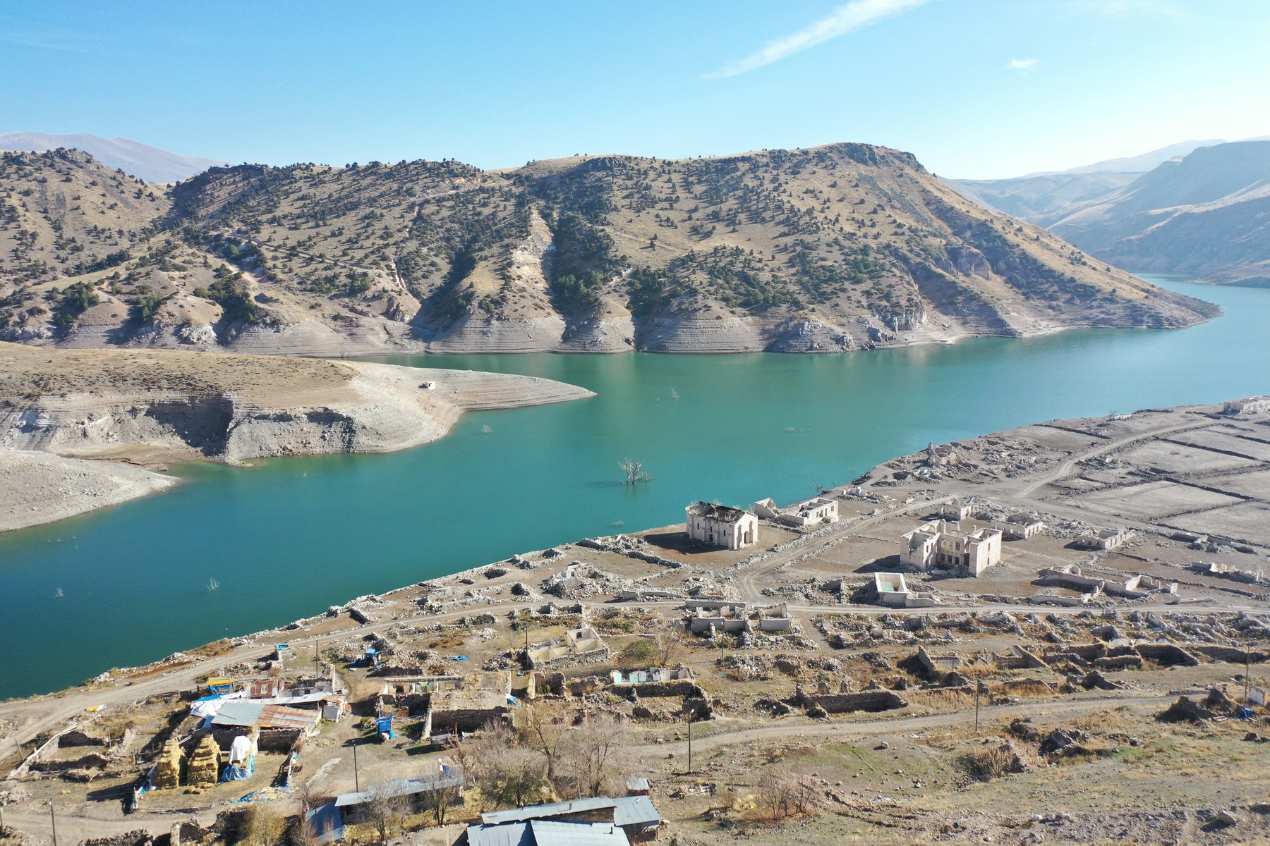 Karakurt