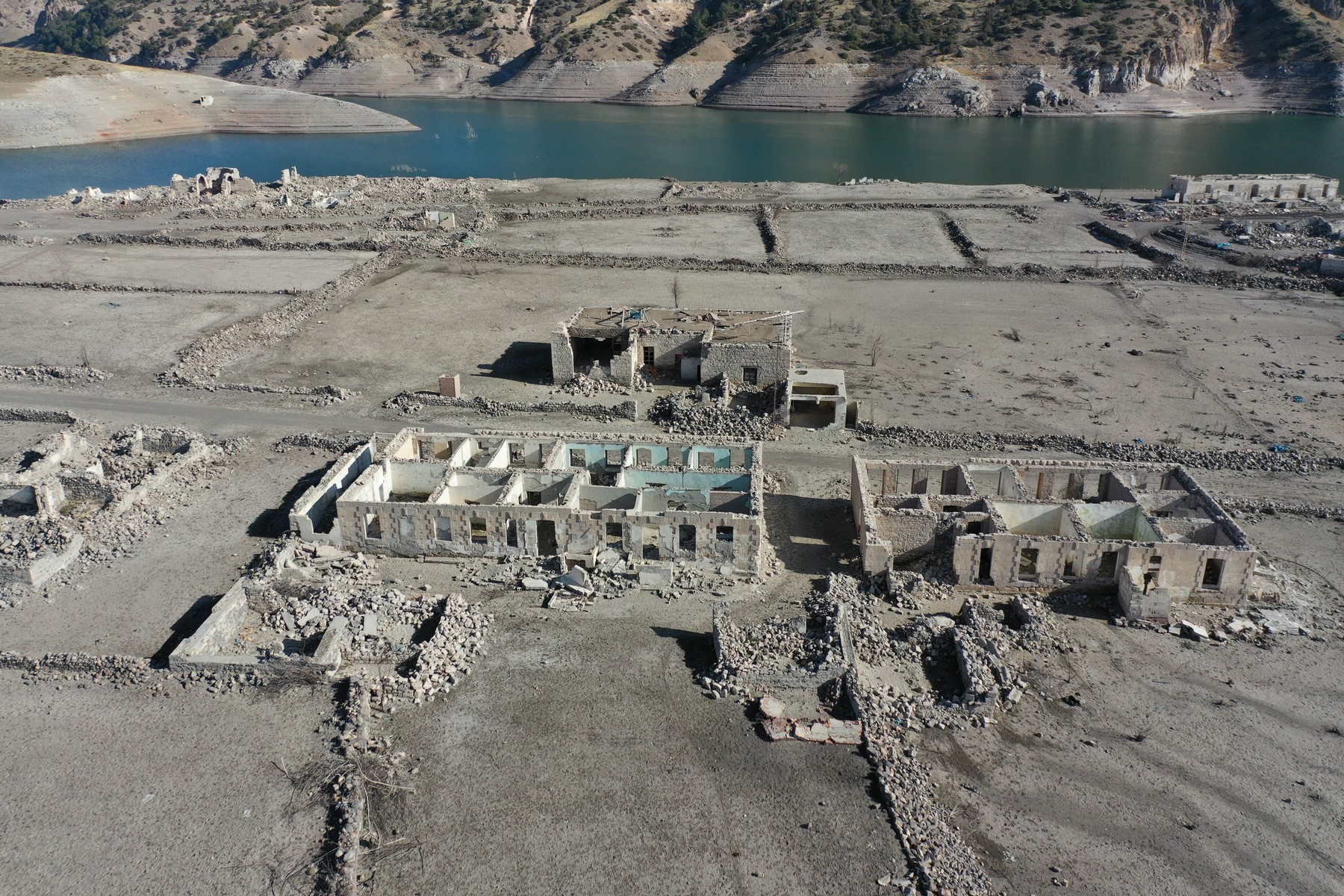 Karakurt