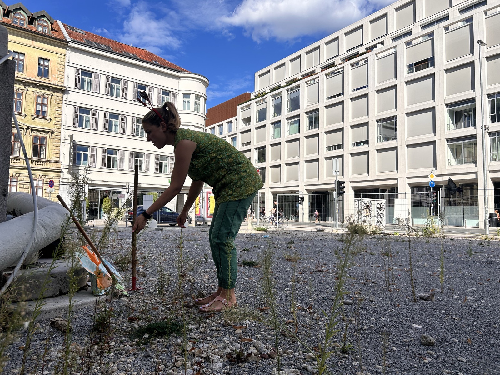 Pobuda Dramski vrtnarski krožek pred SNG Drama Ljubljana