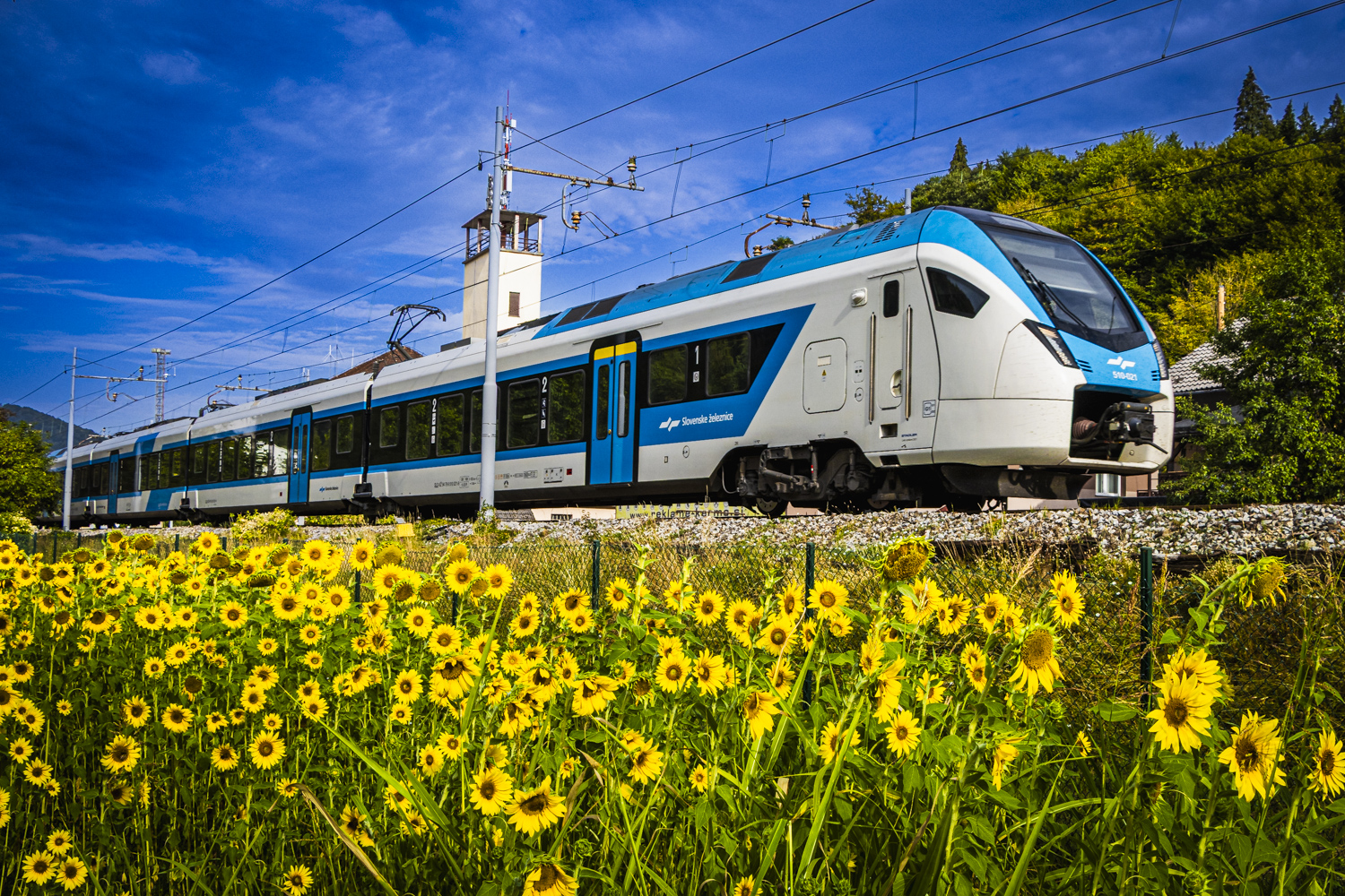 ZEN26-2438_SEvnica_mk_X