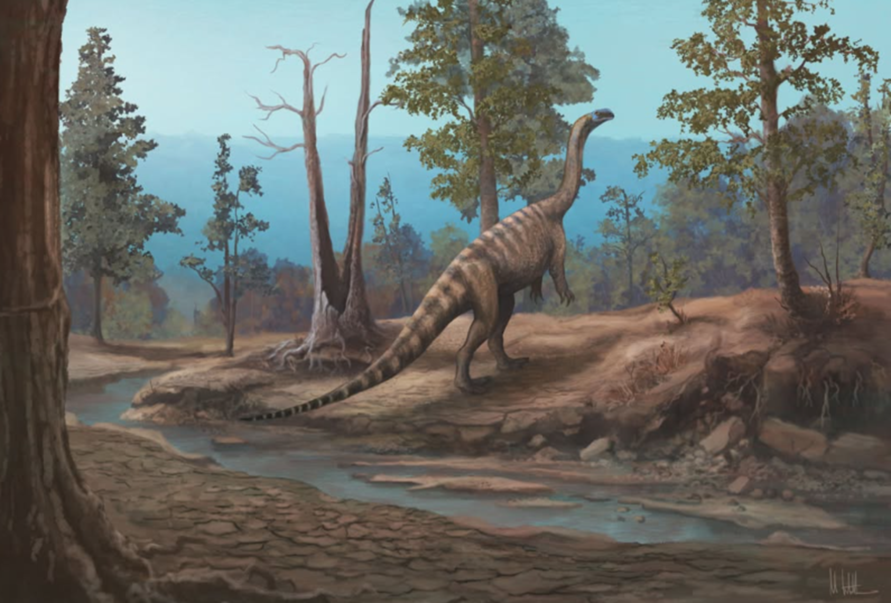 Dinozaver