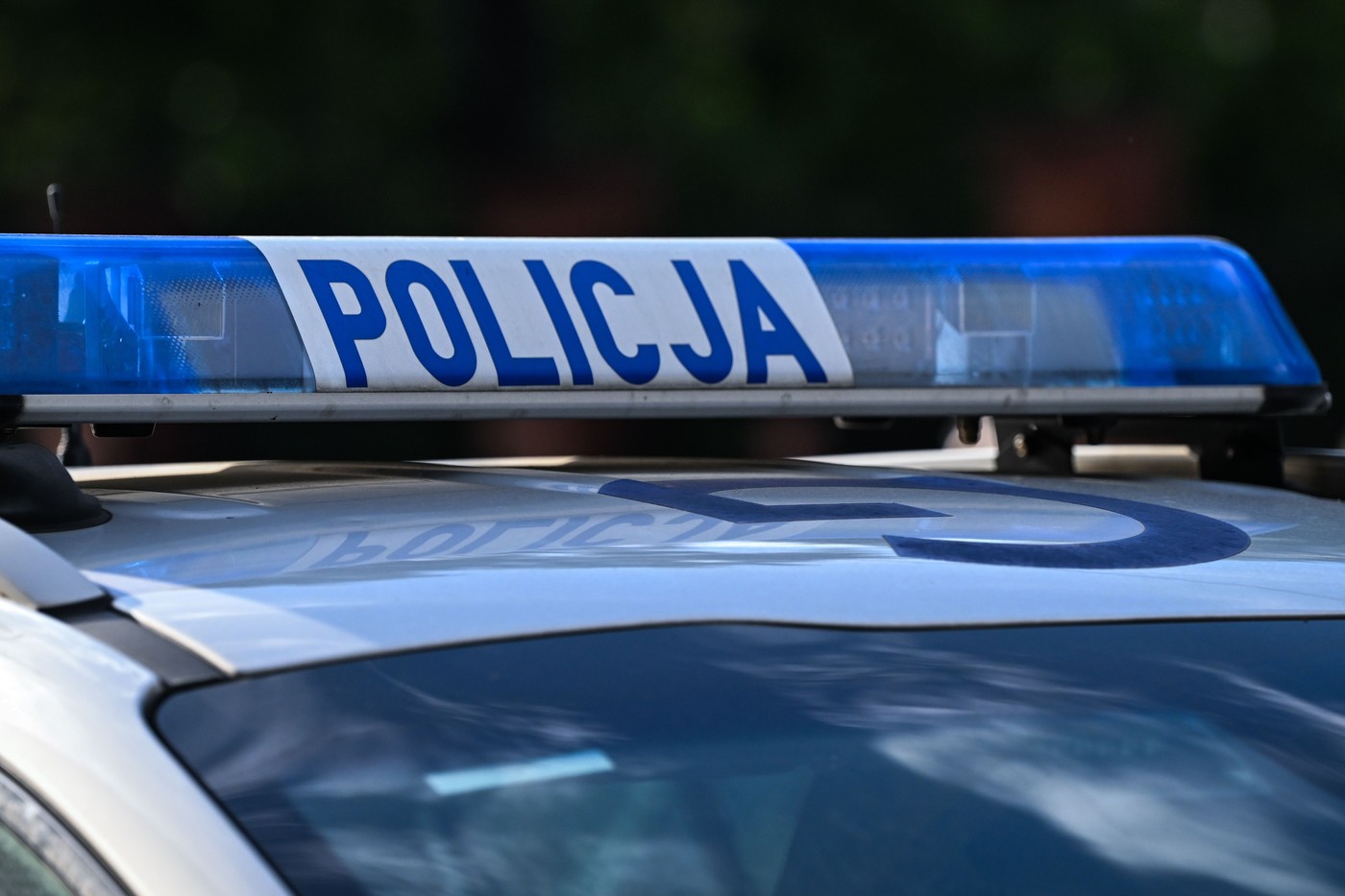 Poljska policija